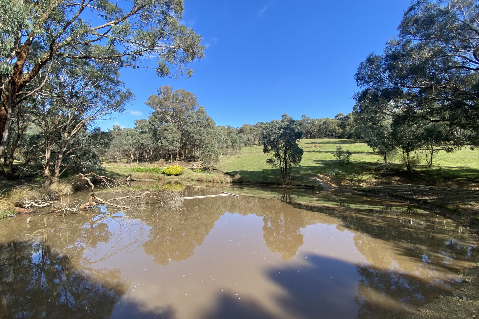 40 Red Shirt Gully Road, Cottles Bridge, VIC 3099, Cottles Bridge - Thumbnail 4