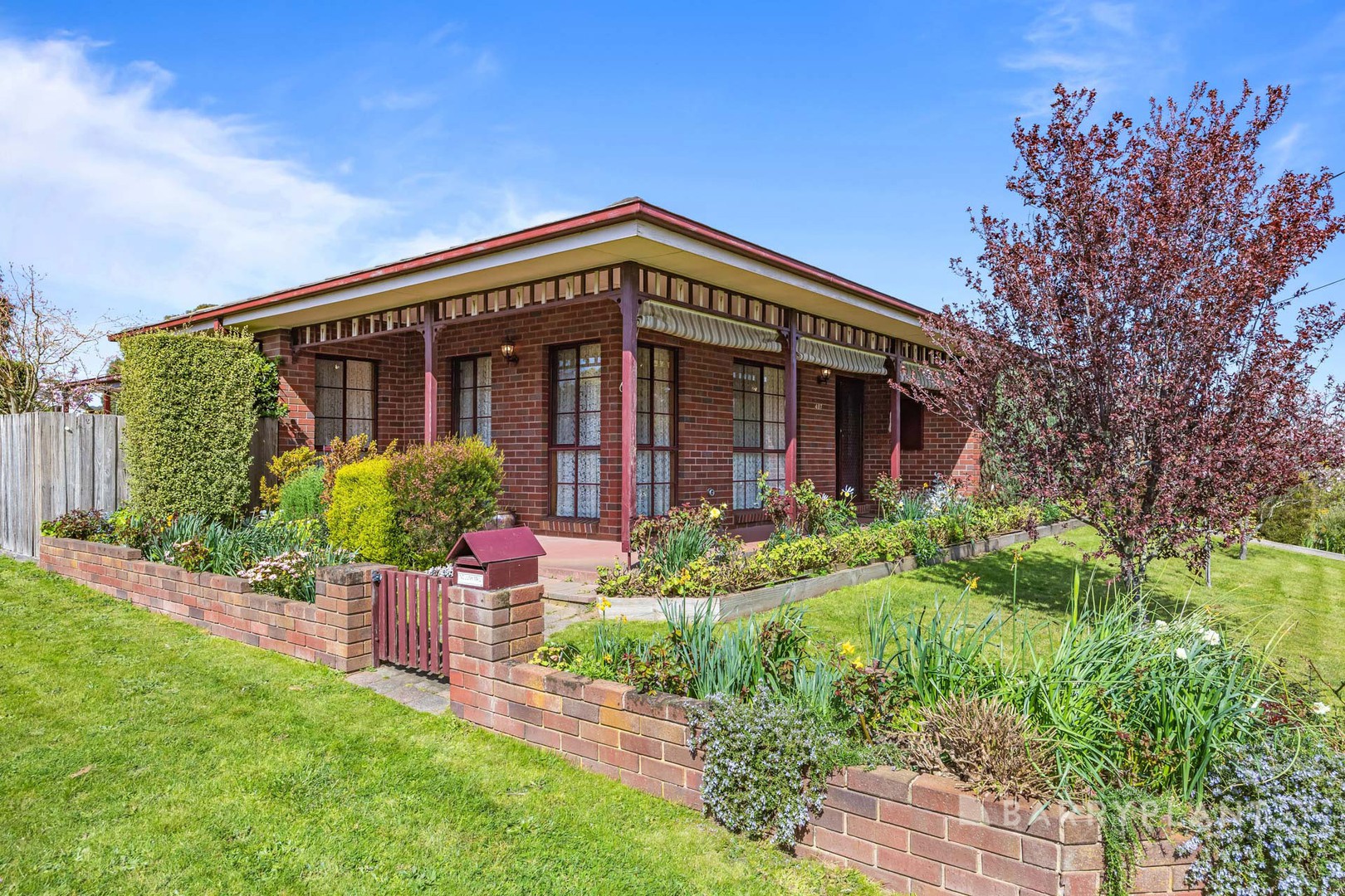 407 Kline Street, Canadian, VIC 3350, Canadian - Thumbnail 4