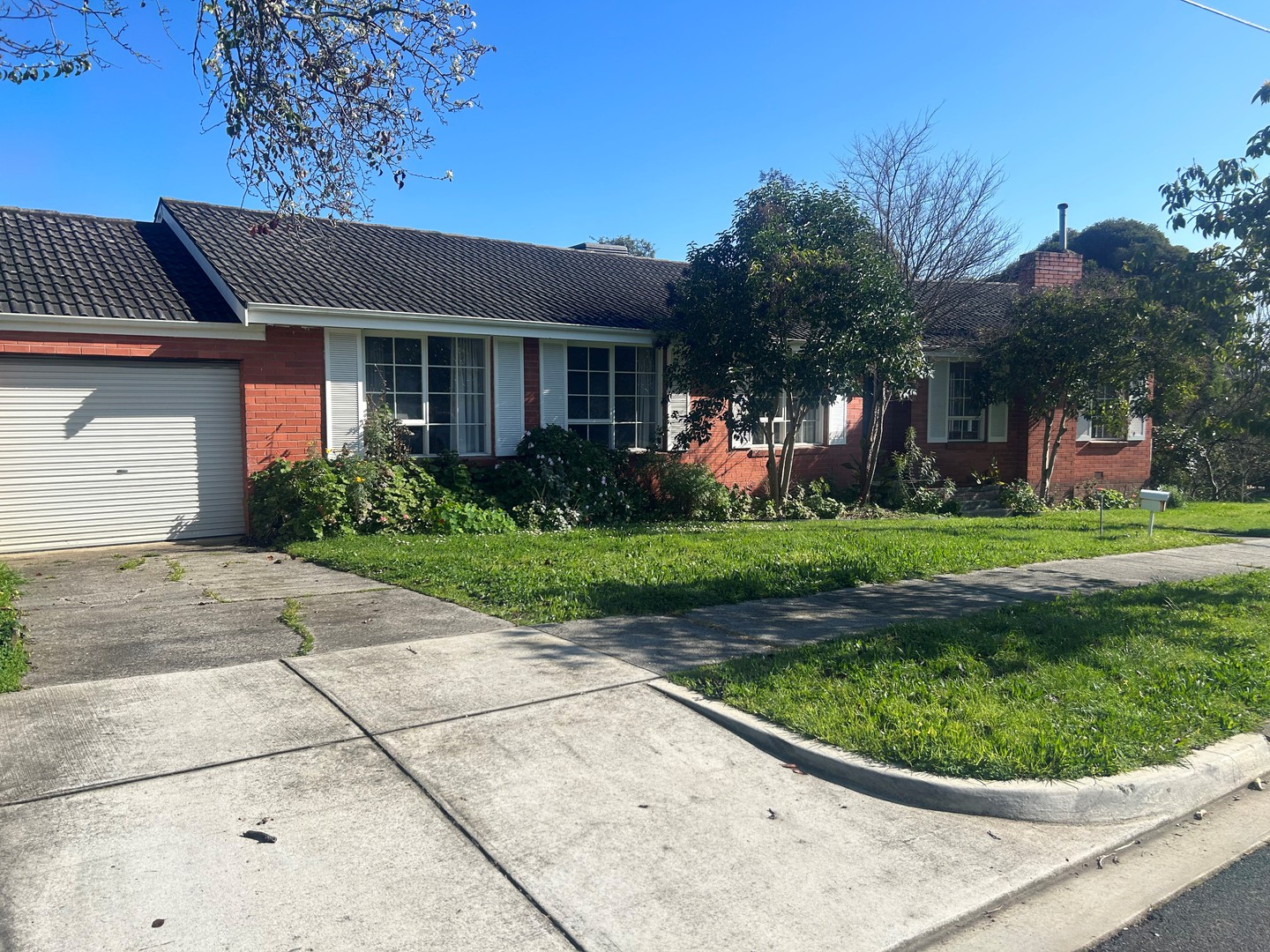 41 Belinda Crescent, Doncaster East, VIC 3109, Doncaster East - Thumbnail 4