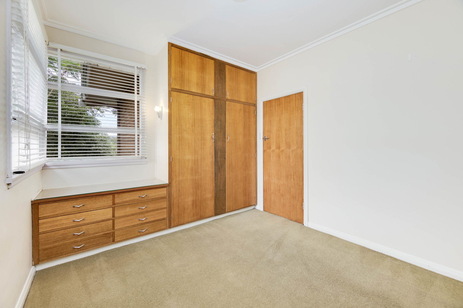 41 Iona Avenue, Belmont, VIC 3216, Belmont - Thumbnail 6