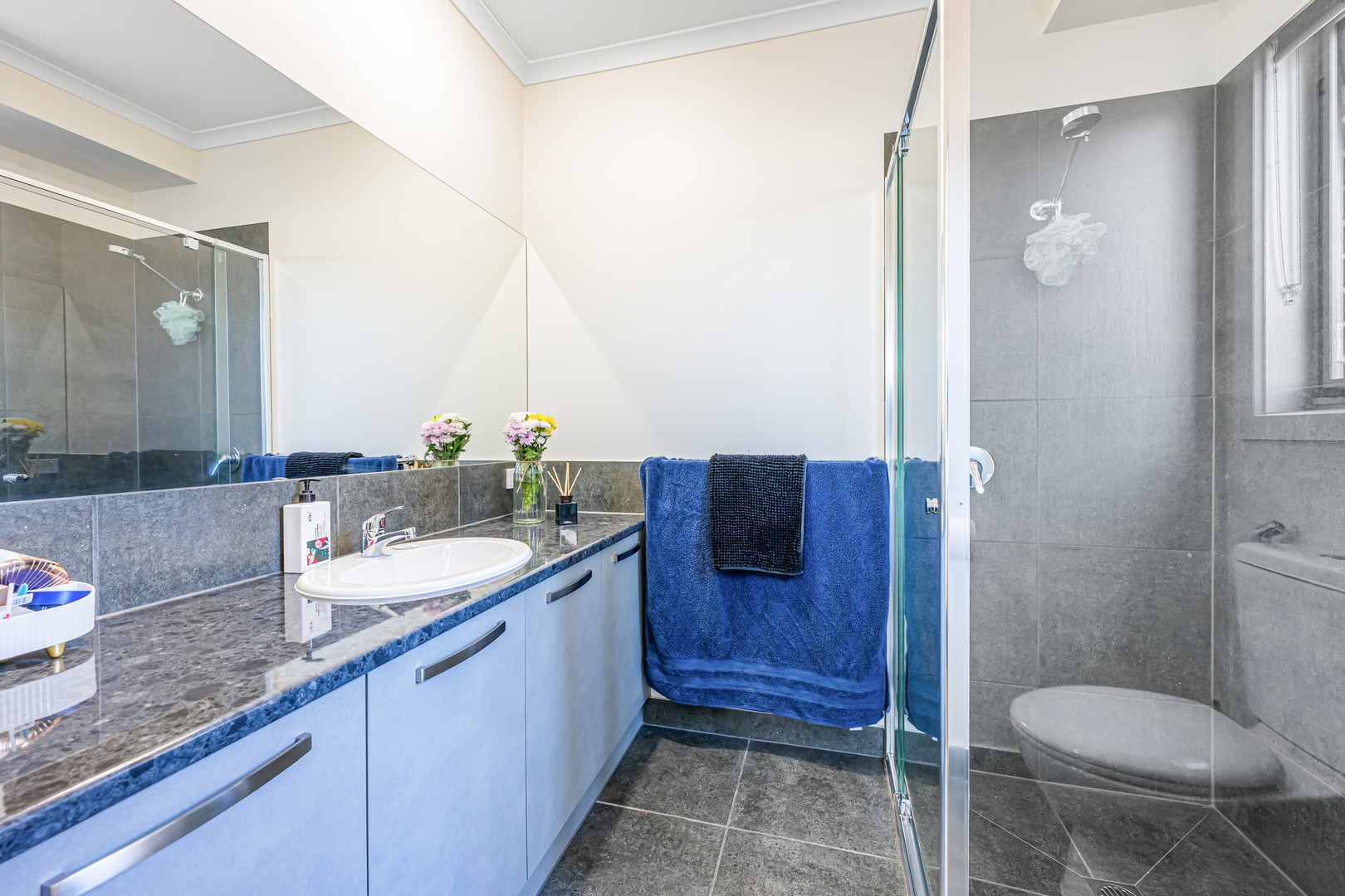 41 Rita Drive, Mildura, VIC 3500, Mildura - Thumbnail 7