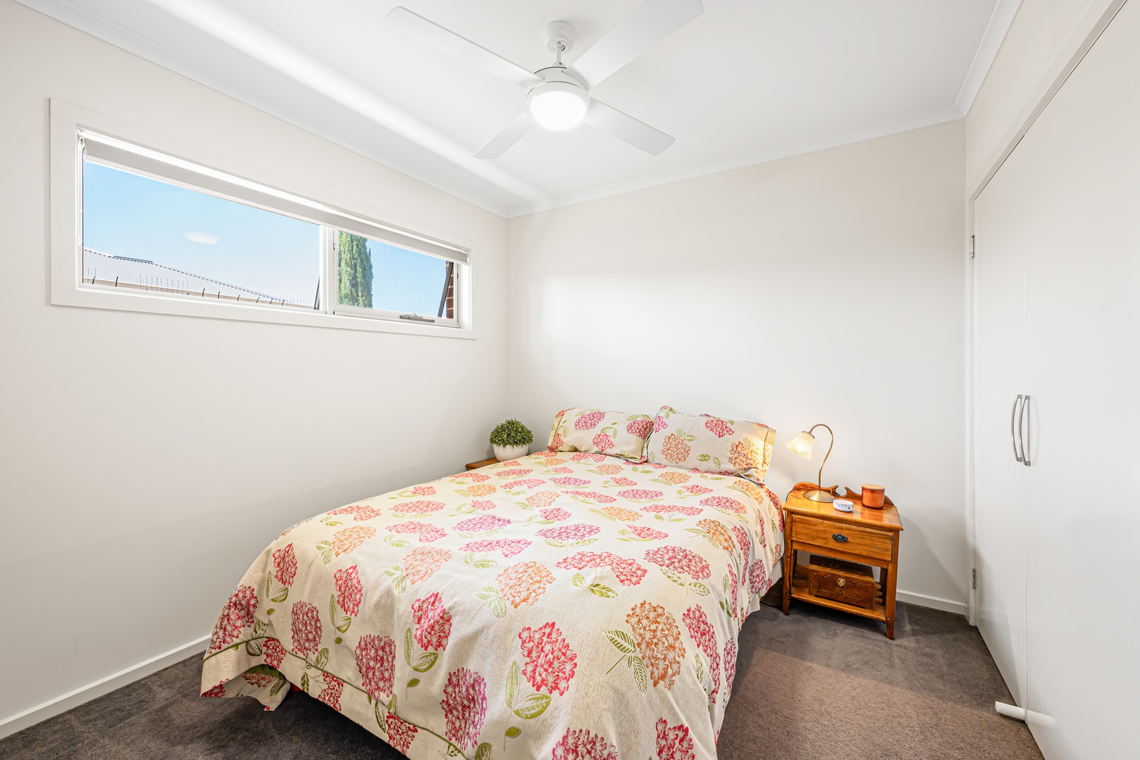 41 Rita Drive, Mildura, VIC 3500, Mildura - Thumbnail 8