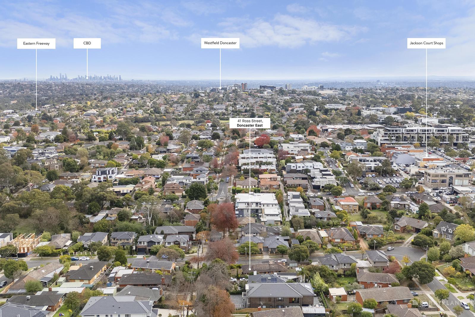41 Ross Street, Doncaster East, VIC 3109, Doncaster East - Thumbnail 4