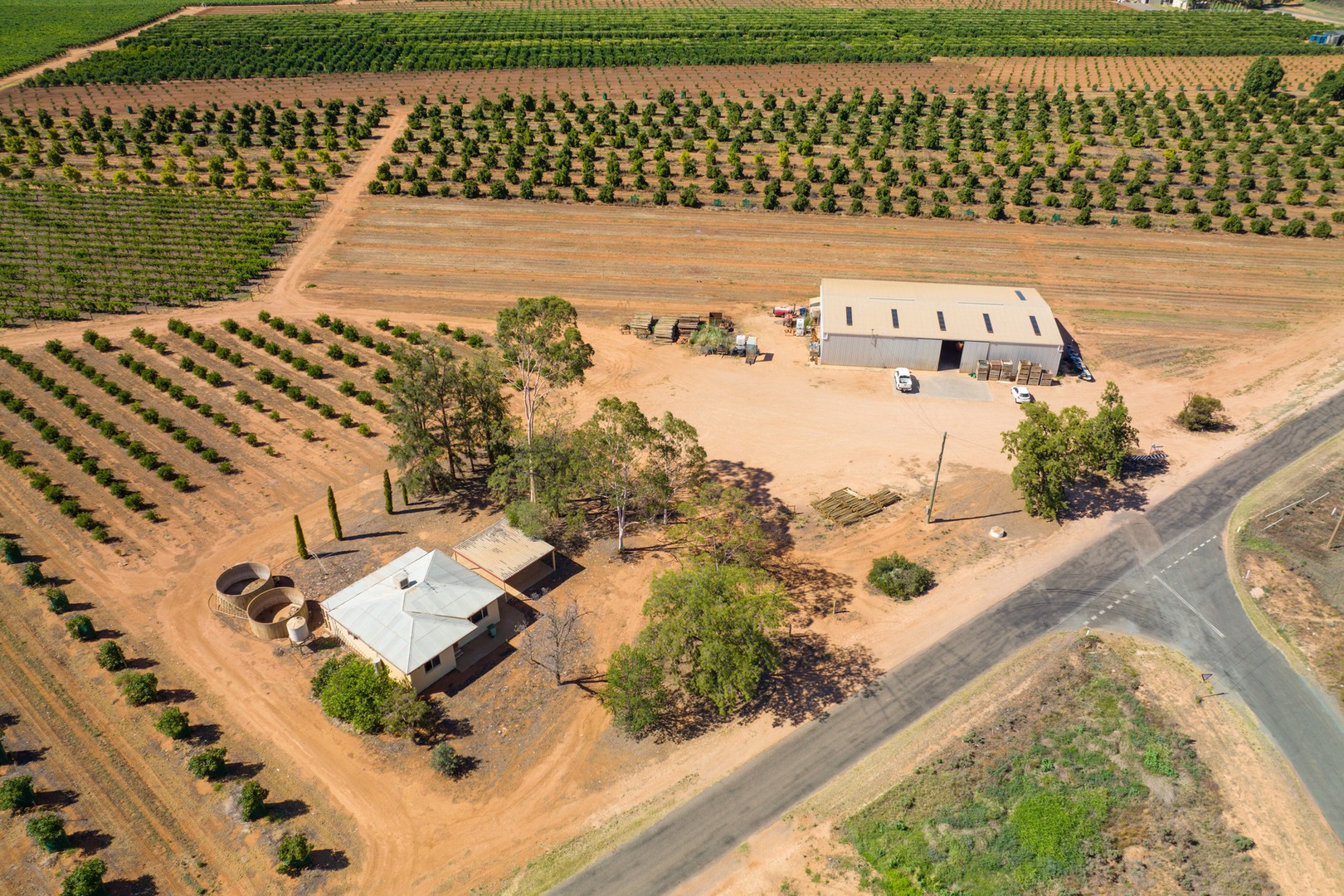 42 Boronia Crescent, Coomealla, NSW 2717, Coomealla - Thumbnail 2