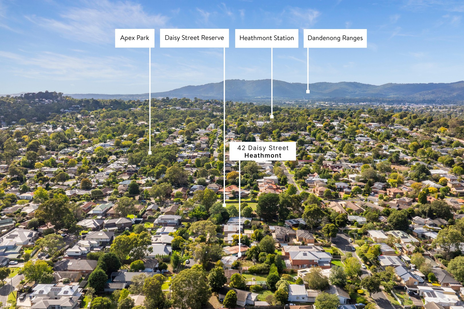 42 Daisy Street, Heathmont, VIC 3135, Heathmont - Thumbnail 6