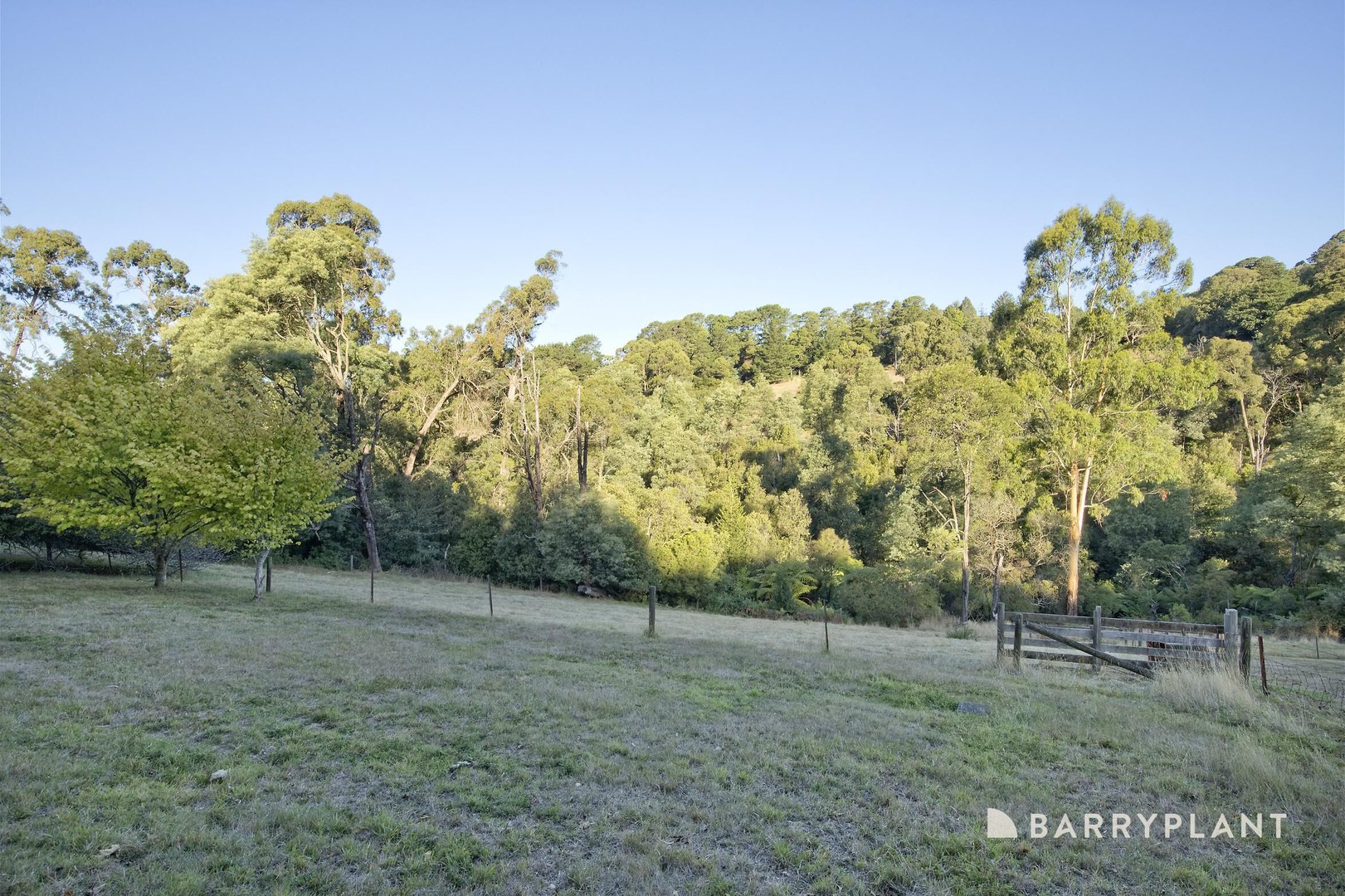 42 Emerald Monbulk Road, Emerald, VIC 3782, Emerald - Thumbnail 3