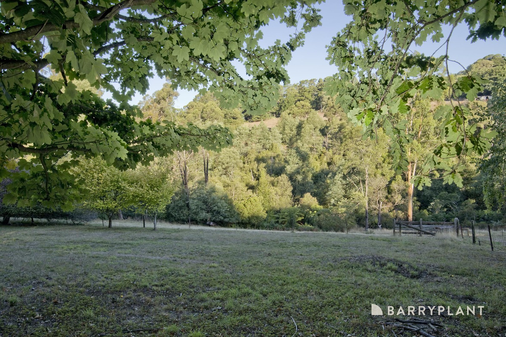 42 Emerald Monbulk Road, Emerald, VIC 3782, Emerald - Thumbnail 4
