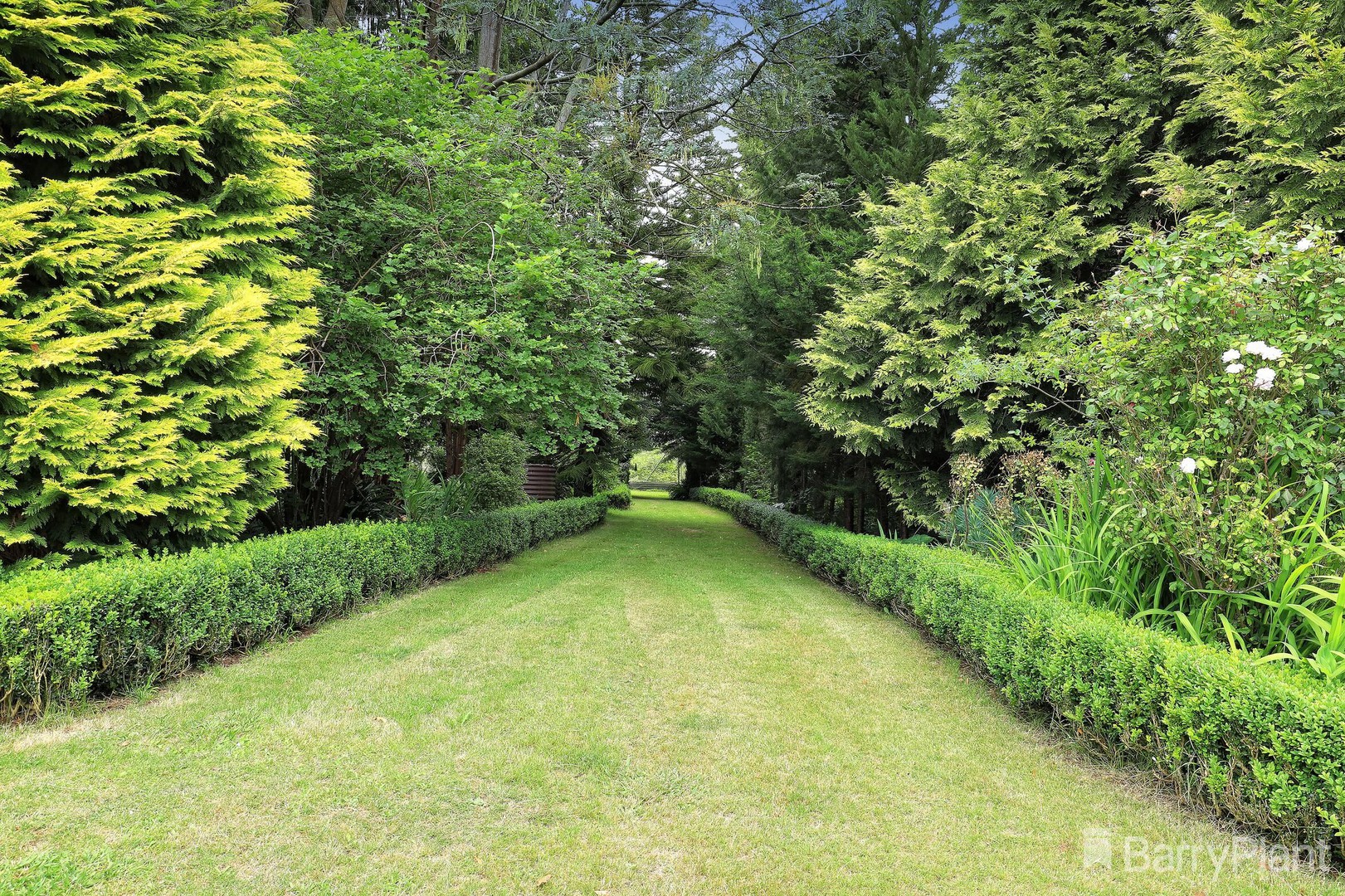 42 Fairway Road, Emerald, VIC 3782, Emerald - Thumbnail 4