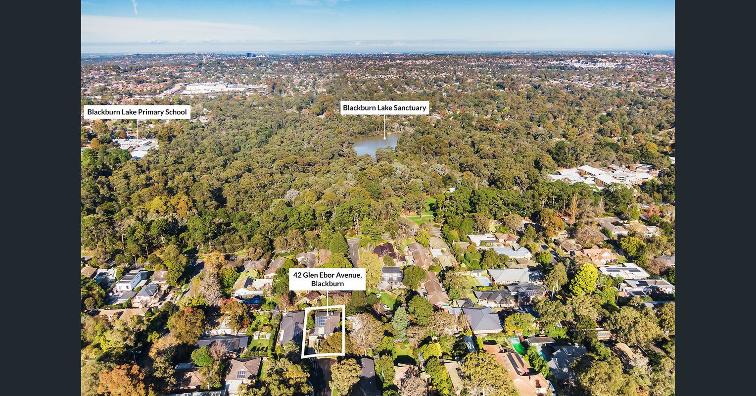 42 Glen Ebor Avenue, Blackburn, VIC 3130, Blackburn - Thumbnail 7