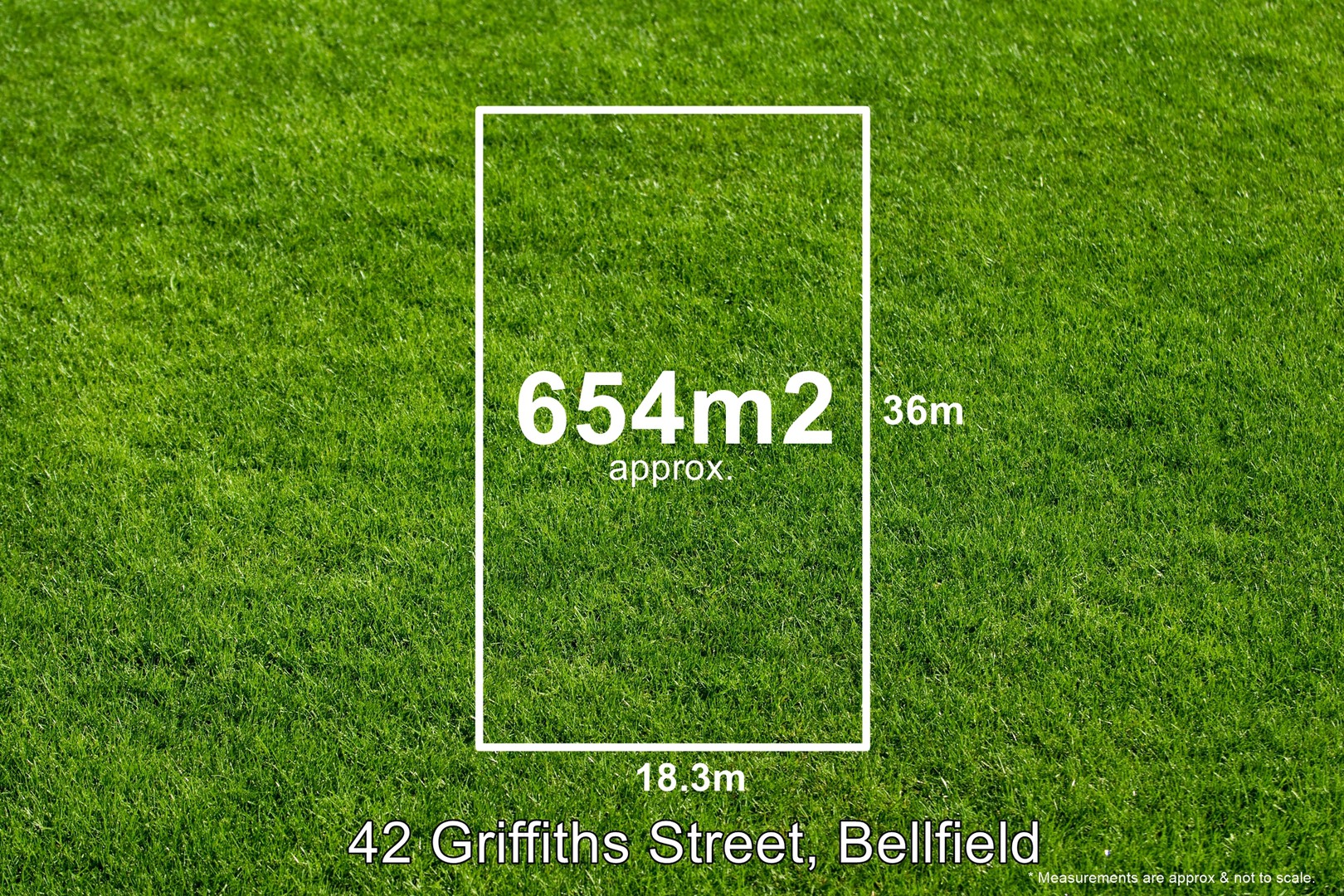 42 Griffiths Street, Bellfield, VIC 3081, Bellfield - Thumbnail 2