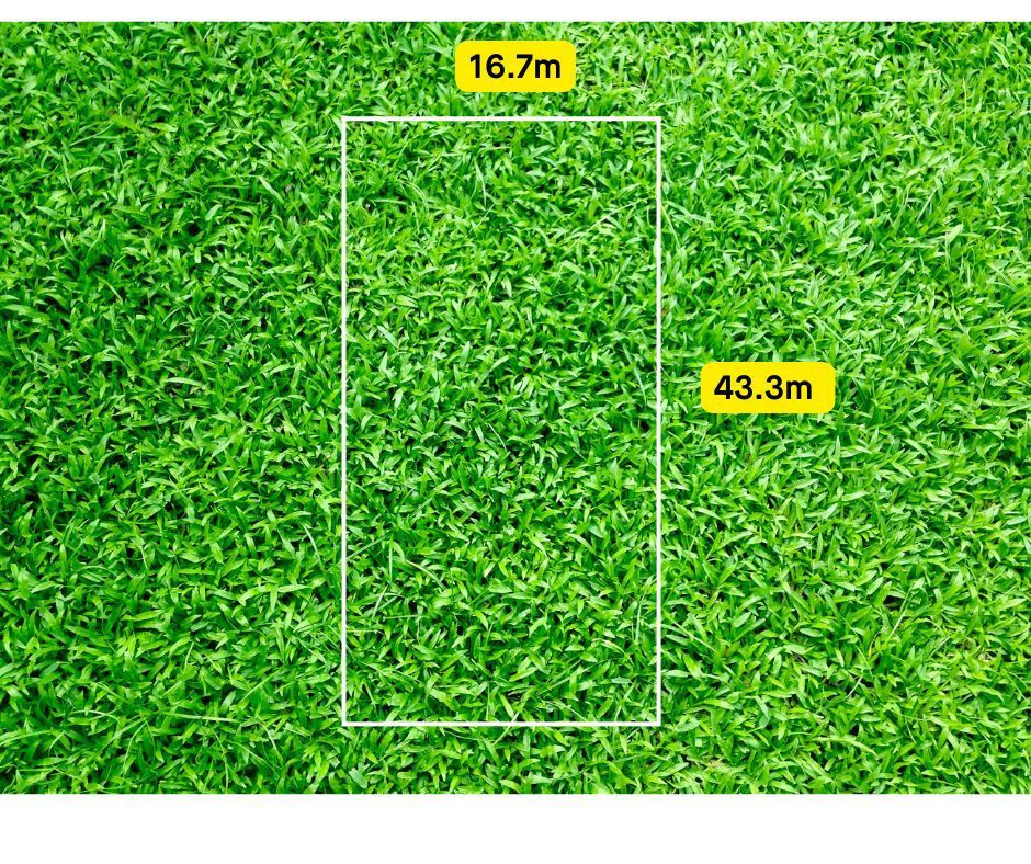 420 Boronia Road, Wantirna South, VIC 3152, Wantirna South - Thumbnail 7