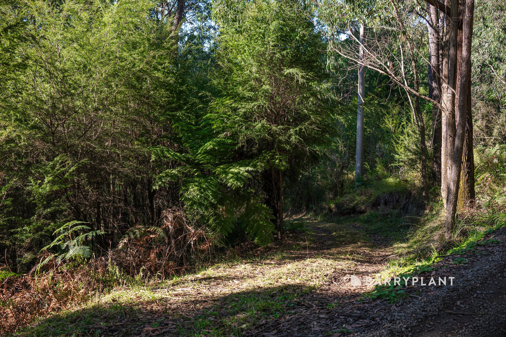 420 Mount Eirene Road, Gembrook, VIC 3783, Gembrook - Thumbnail 5