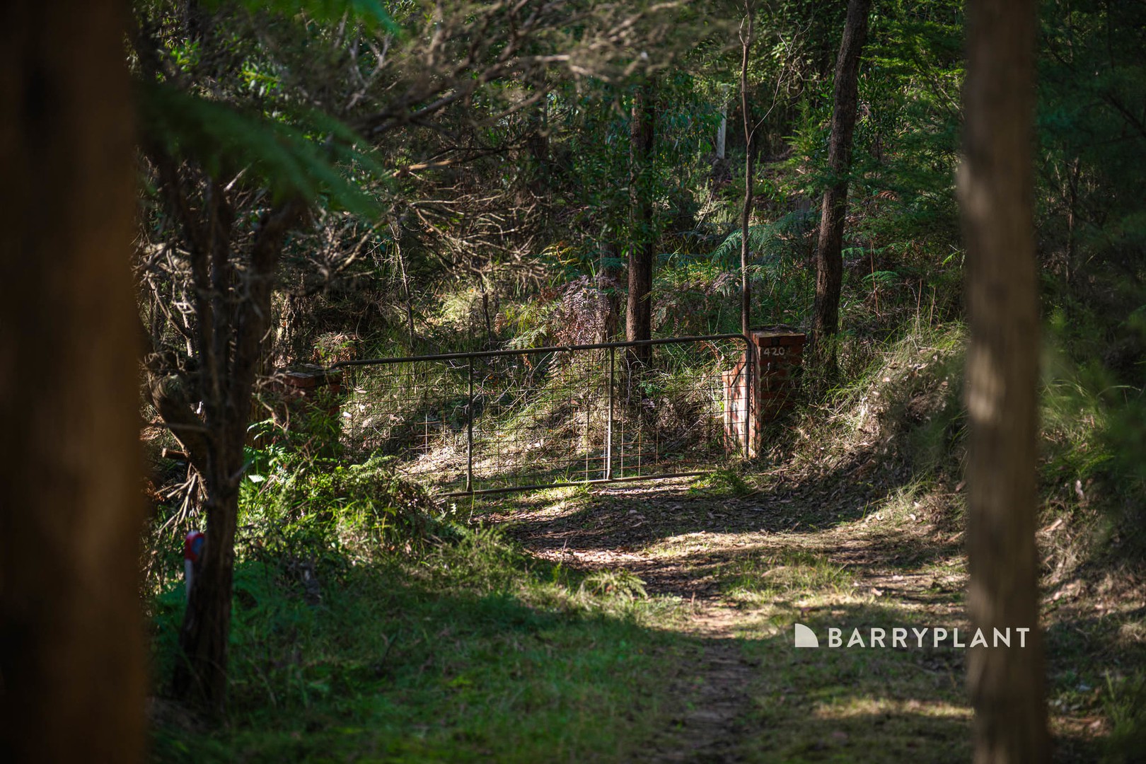 420 Mount Eirene Road, Gembrook, VIC 3783, Gembrook - Thumbnail 6