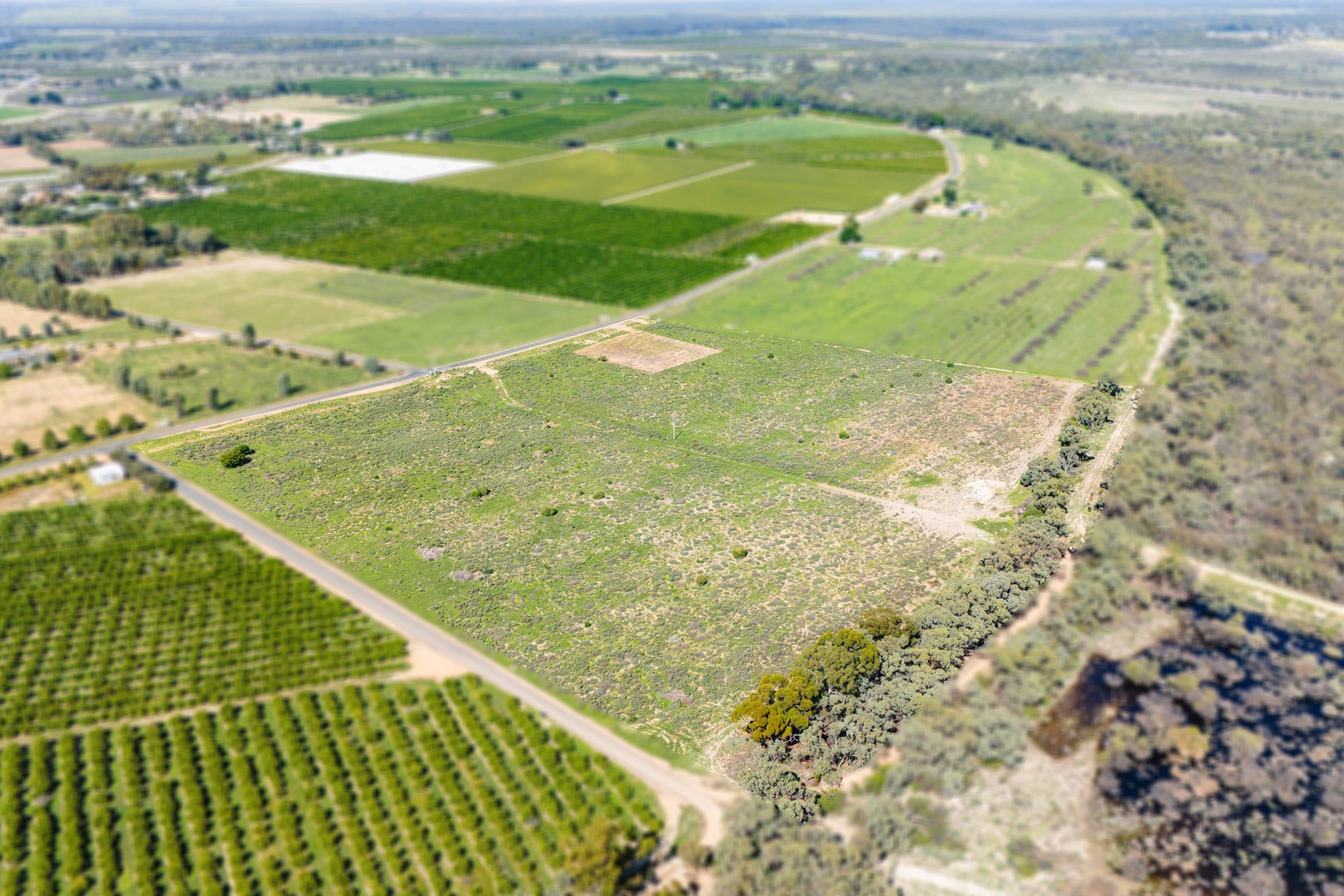 428 Channel Road, Curlwaa, NSW 2648 - Thumbnail 2 - 26/03/2026