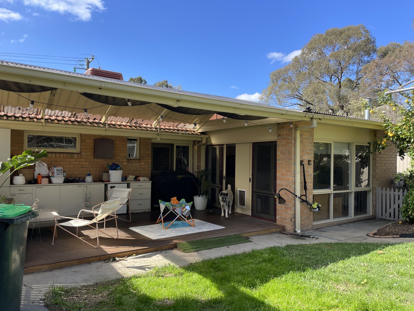 43 Acacia Rd, Ferntree Gully, VIC 3156, Ferntree Gully - Thumbnail 7