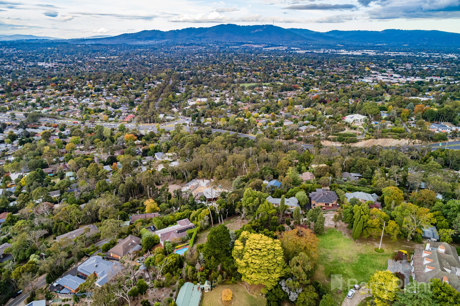 43 Richardson Road, Croydon North, VIC 3136, Croydon North - Thumbnail 5