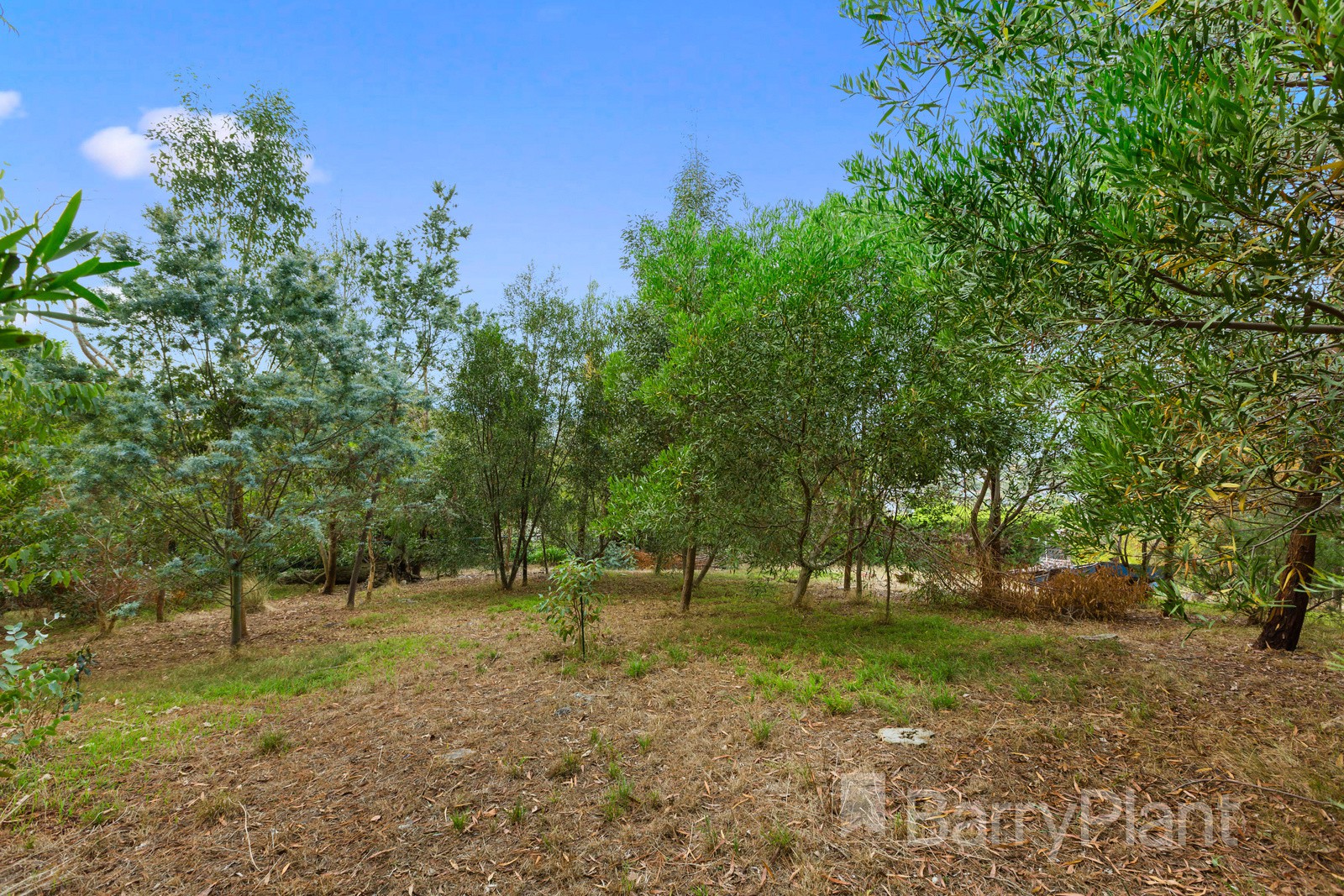 43 Richardson Road, Croydon North, VIC 3136, Croydon North - Thumbnail 7