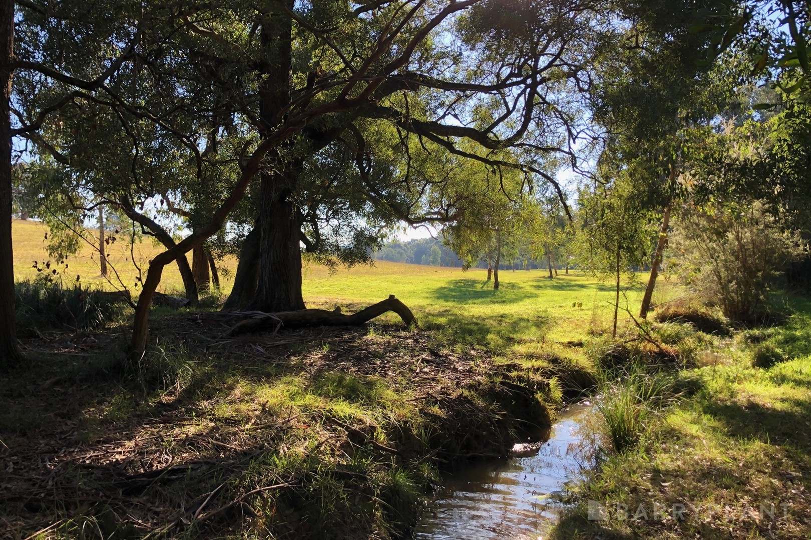 450 Sheepstation Creek Road, Yellingbo, VIC 3139 - Thumbnail 1 - 17/07/2025