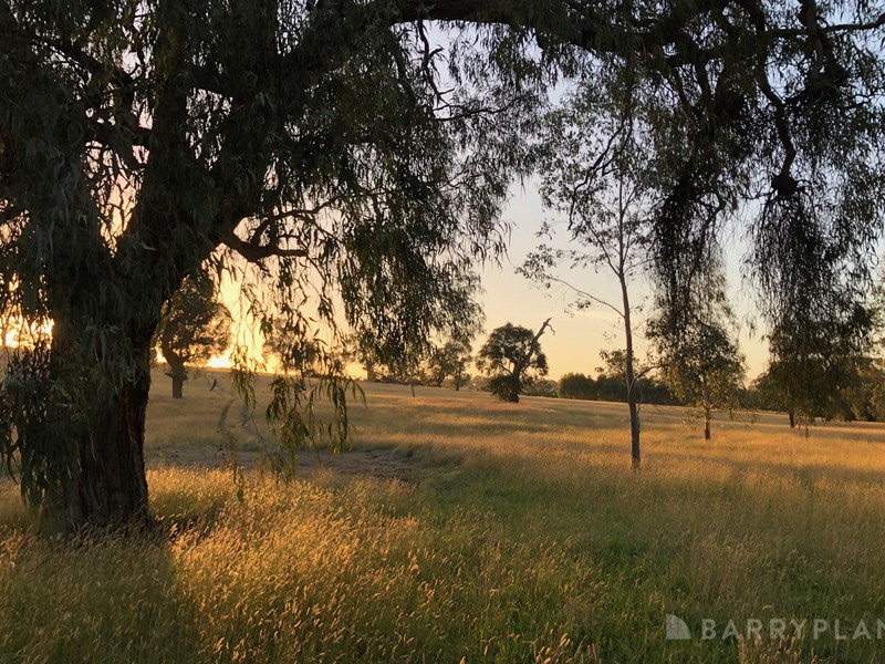 450 Sheepstation Creek Road, Yellingbo, VIC 3139 - Image - 17/07/2025