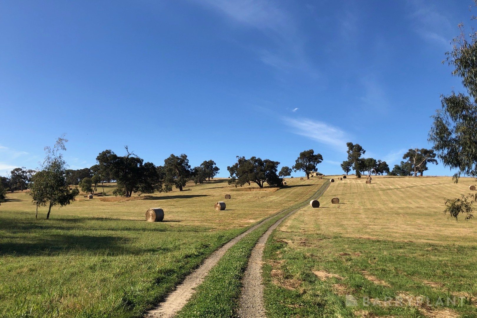450 Sheepstation Creek Road, Yellingbo, VIC 3139 - Thumbnail 2 - 17/07/2025