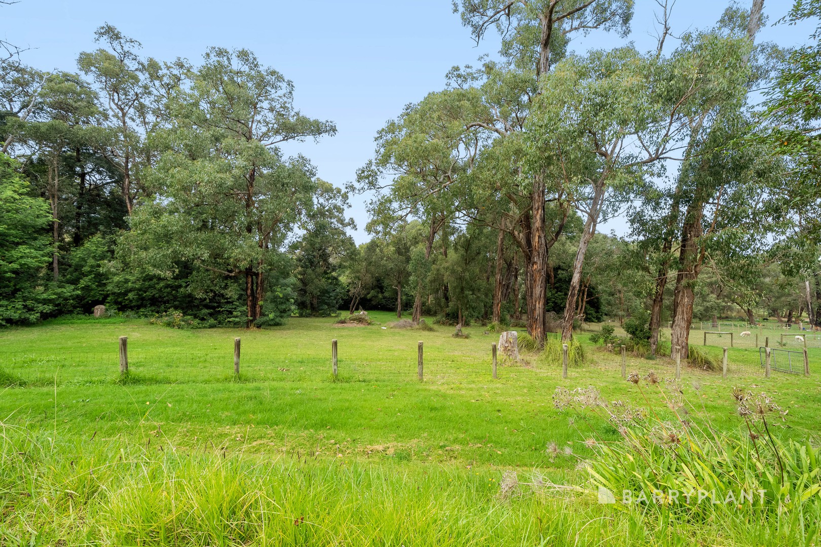 470 Beaconsfield Emerald Road, Guys Hill, VIC 3807, Guys Hill - Thumbnail 3