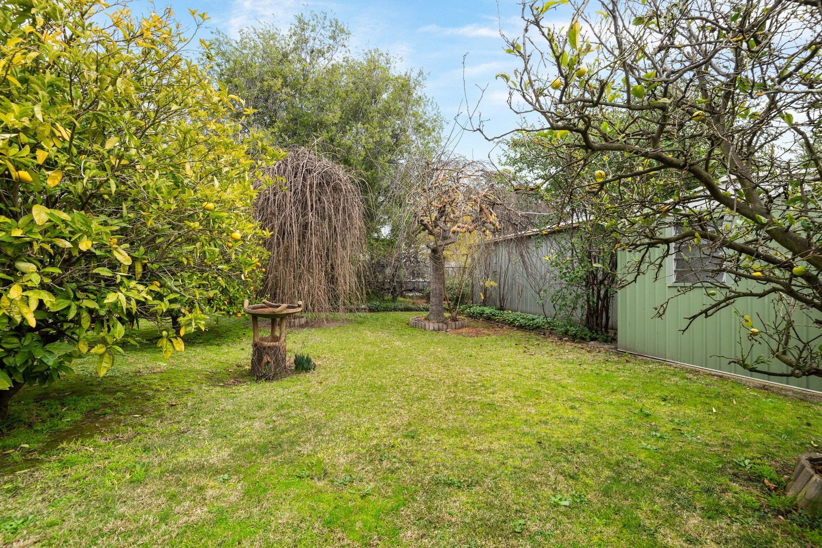 48 Hickey Street, Whittington, VIC 3219, Whittington - Thumbnail 8