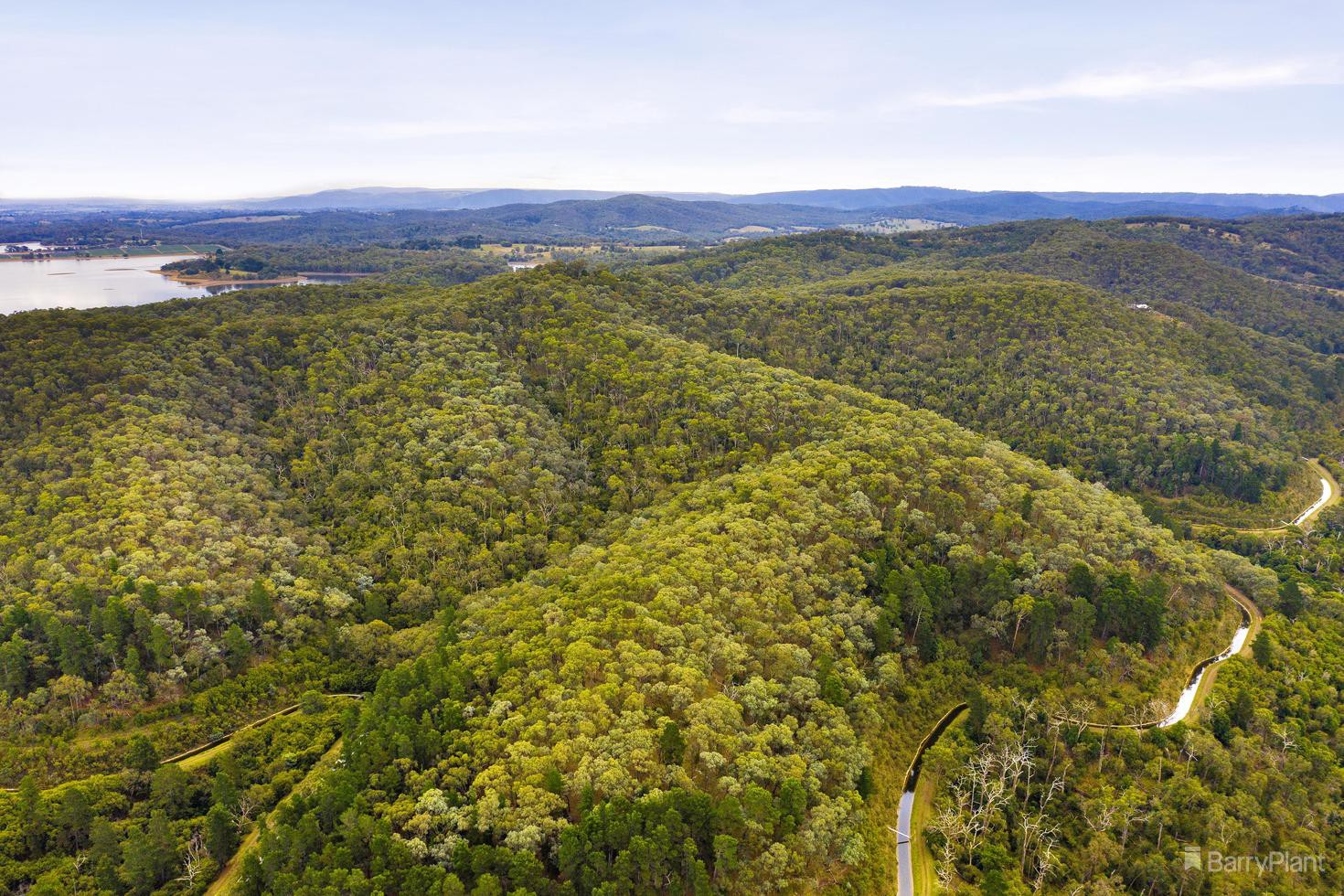 488 Skyline Road, Christmas Hills, VIC 3775, Christmas Hills - Thumbnail 3