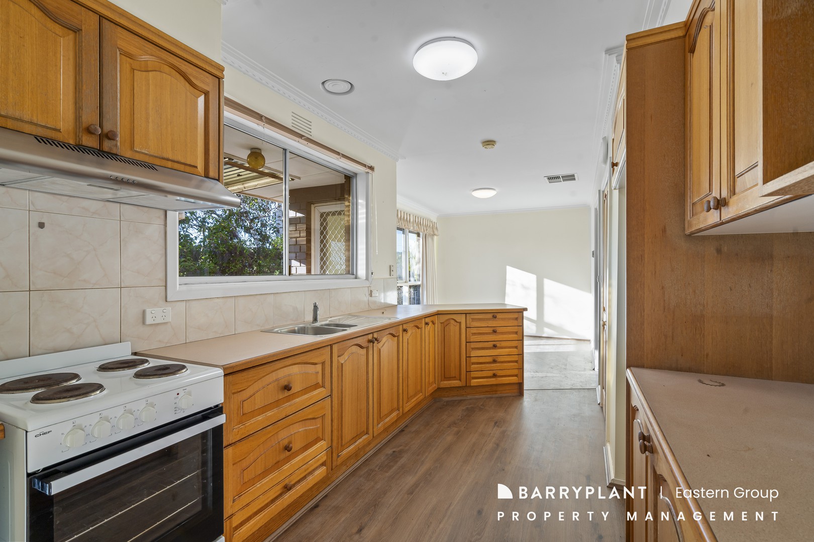 49 Bellevue Avenue, Doncaster East, VIC 3109, Doncaster East - Thumbnail 4