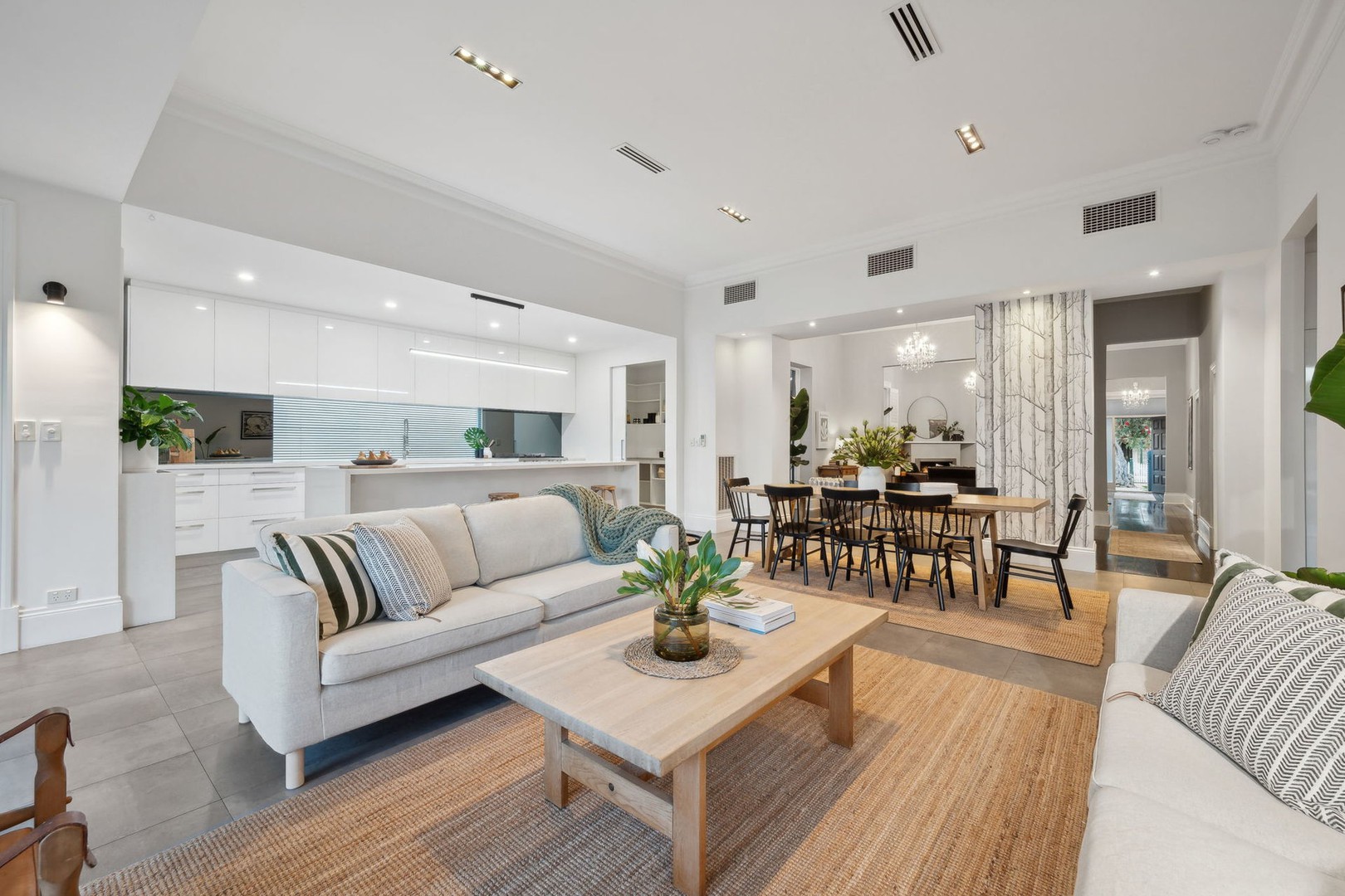49 Castle Street, Parkside, SA 5063, Parkside - Thumbnail 2