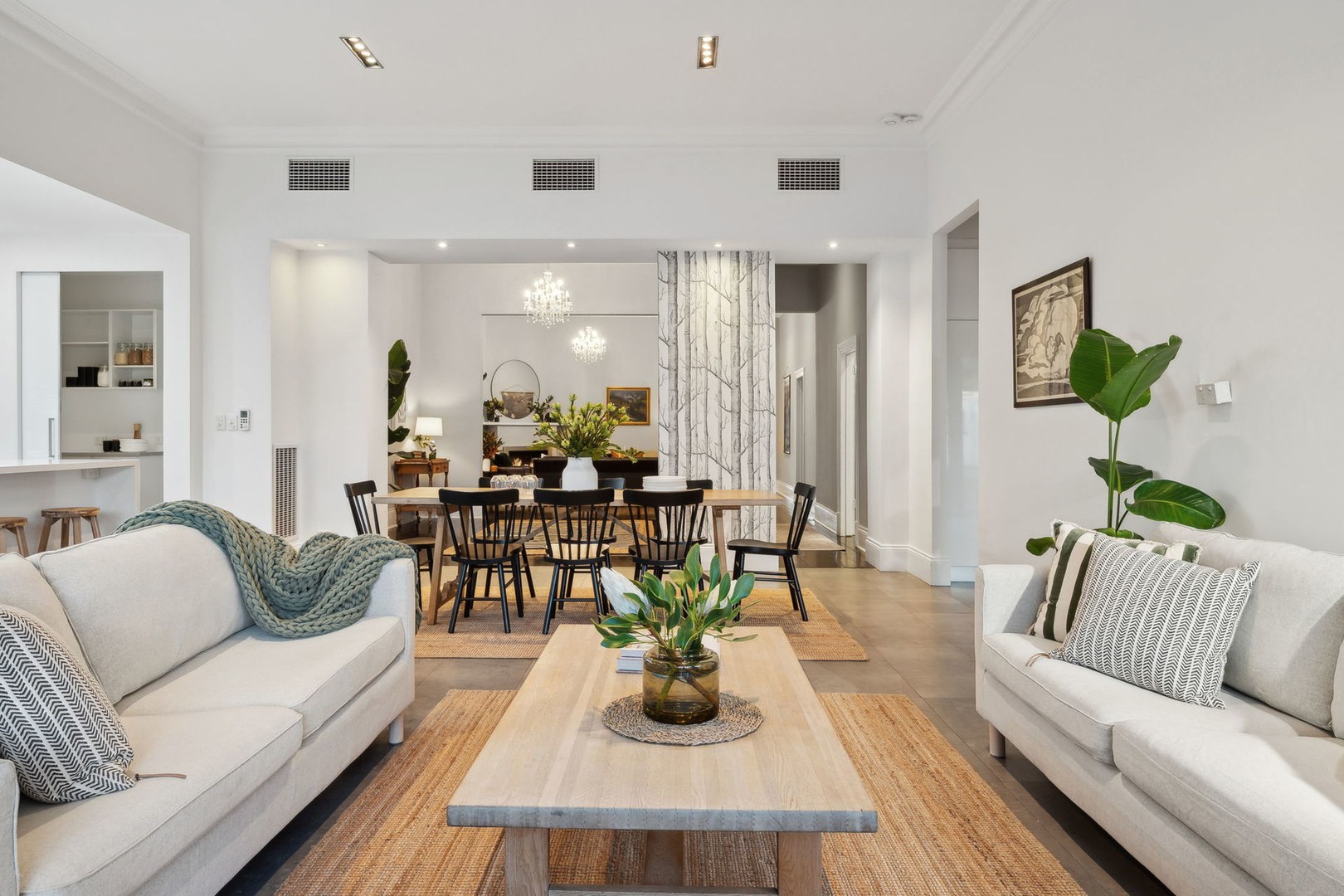 49 Castle Street, Parkside, SA 5063, Parkside - Thumbnail 4