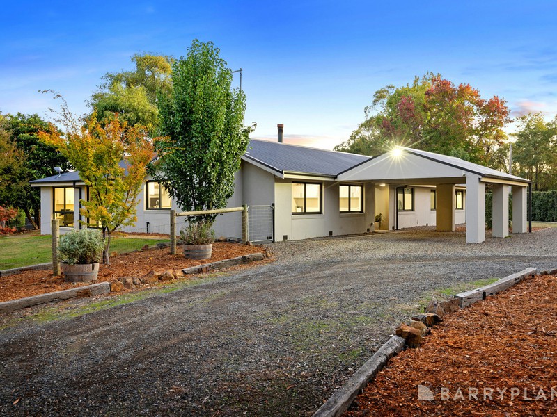 49 Old Toolangi Dixons Creek Road, Toolangi, VIC 3777 - Image - 23/01/2026