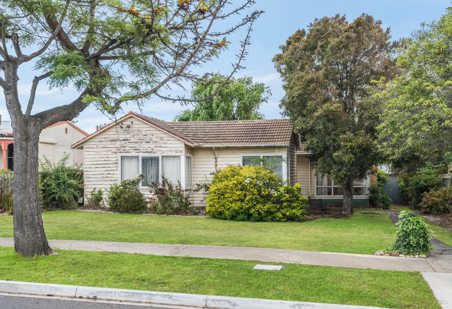 49 Shackleton Street, Belmont, VIC 3216 - Thumbnail 2 - 27/11/2024