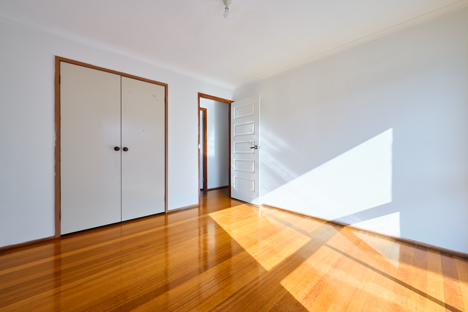 49 Viney Street, Clarinda, VIC 3169, Clarinda - Thumbnail 4
