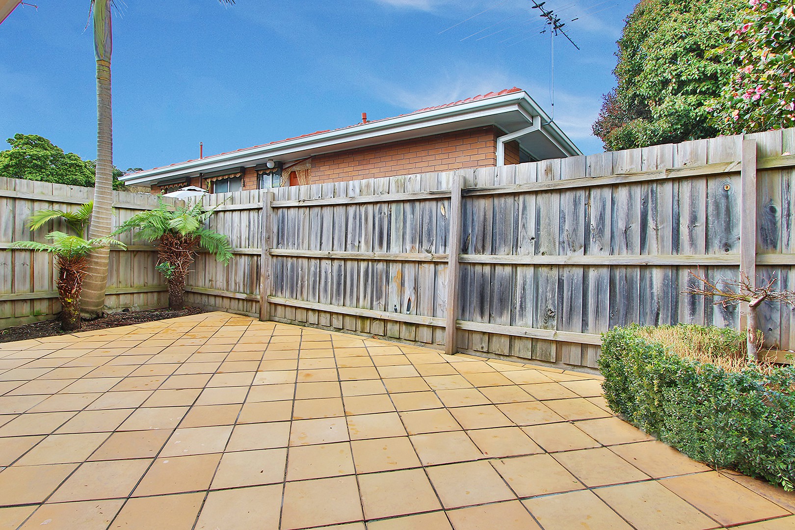 5/108 Mount Pleasant Road, Nunawading, VIC 3131, Nunawading - Thumbnail 5