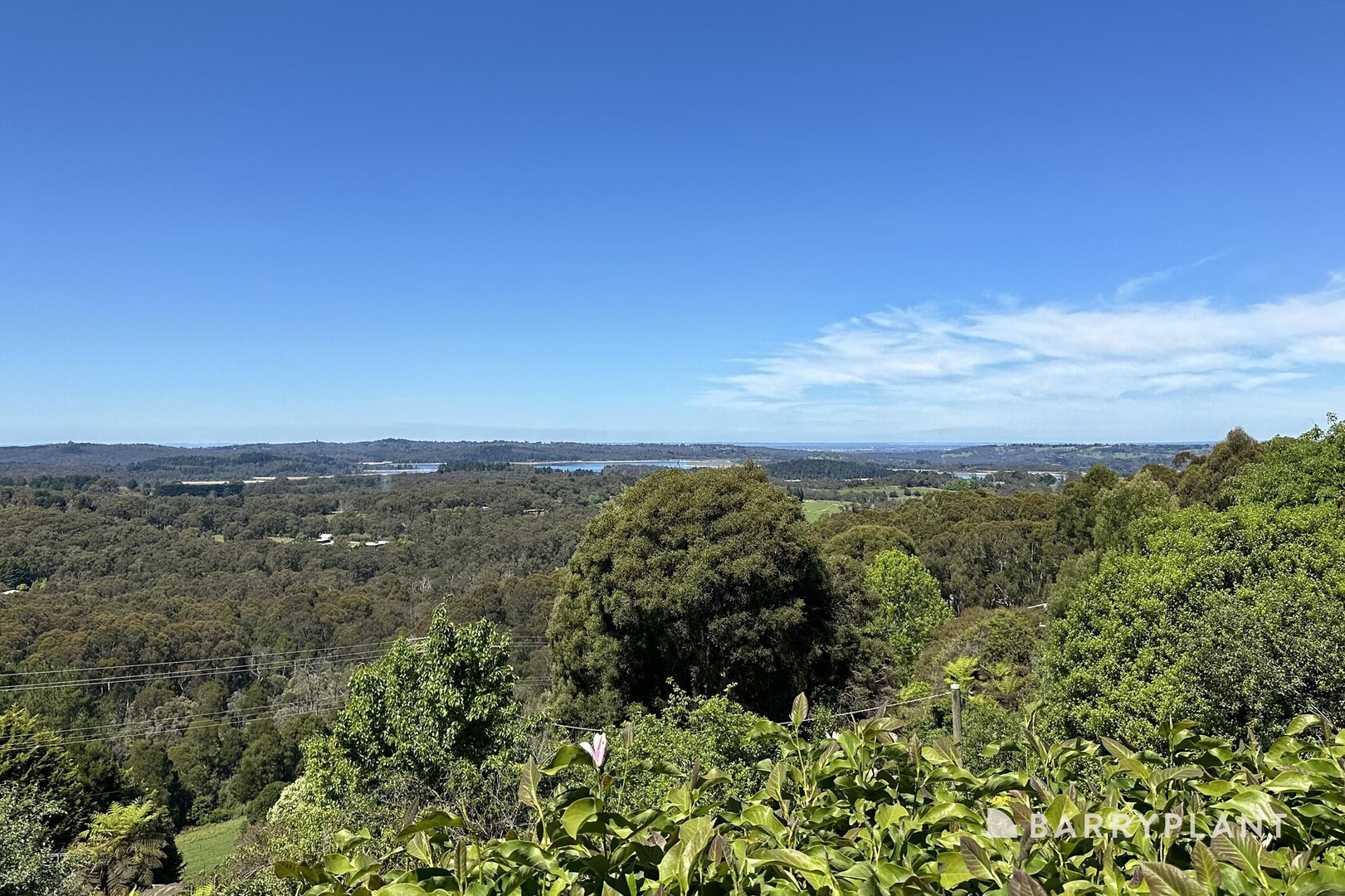 5 Ash Grove, Menzies Creek, VIC 3159, Menzies Creek - Thumbnail 3
