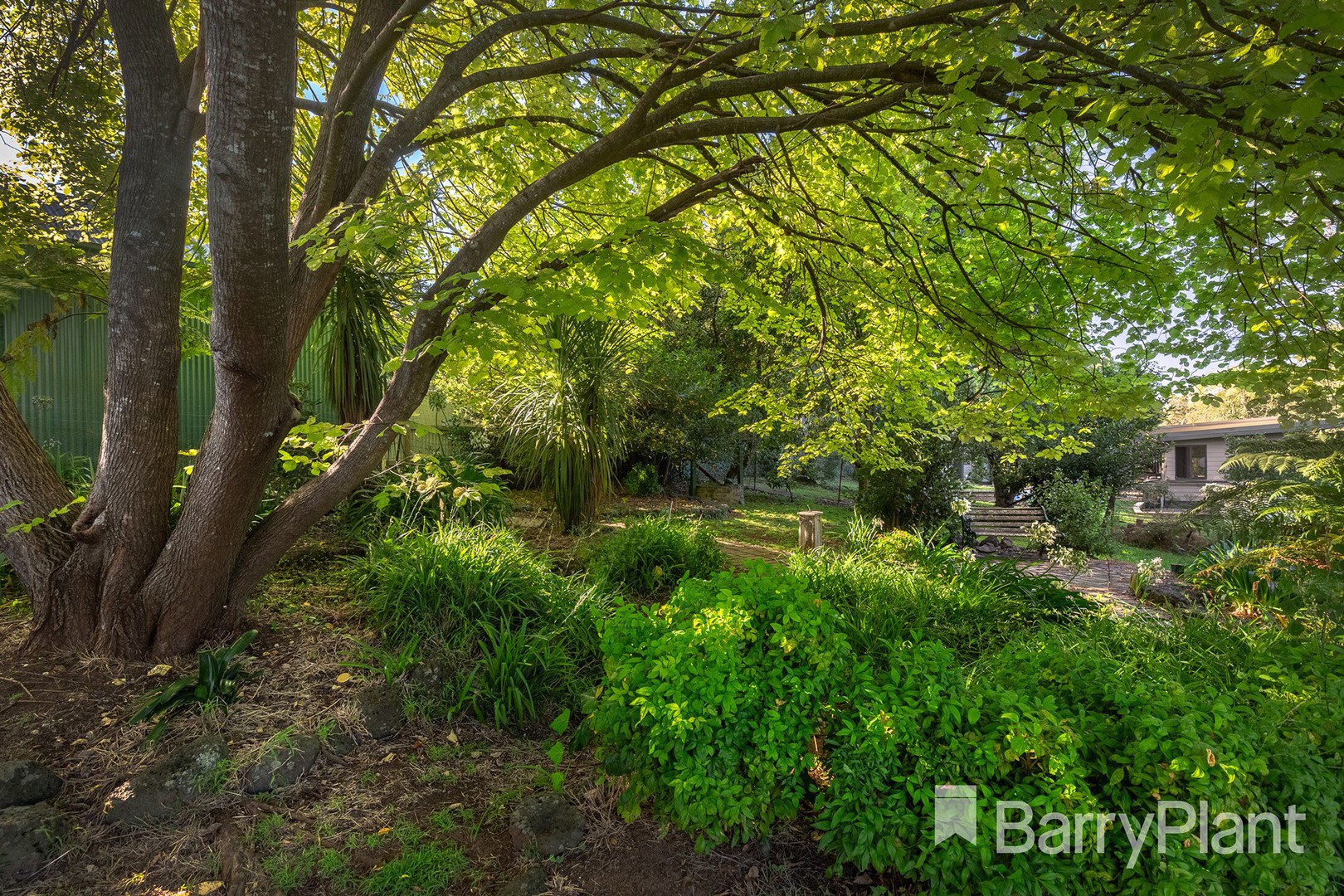 5 Benson St, Emerald, VIC 3782, Emerald - Thumbnail 6