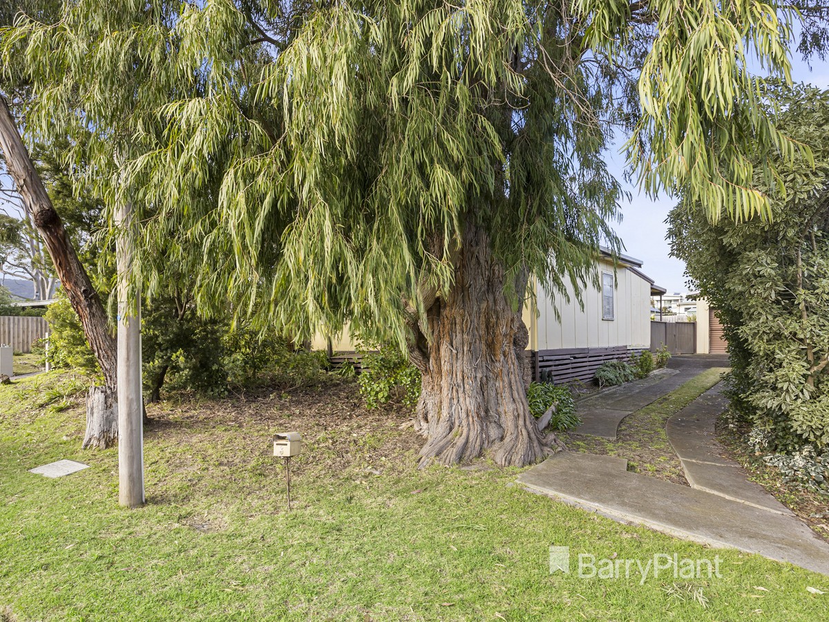 5 Cass Street, Rosebud, VIC 3939, Rosebud - Thumbnail 3