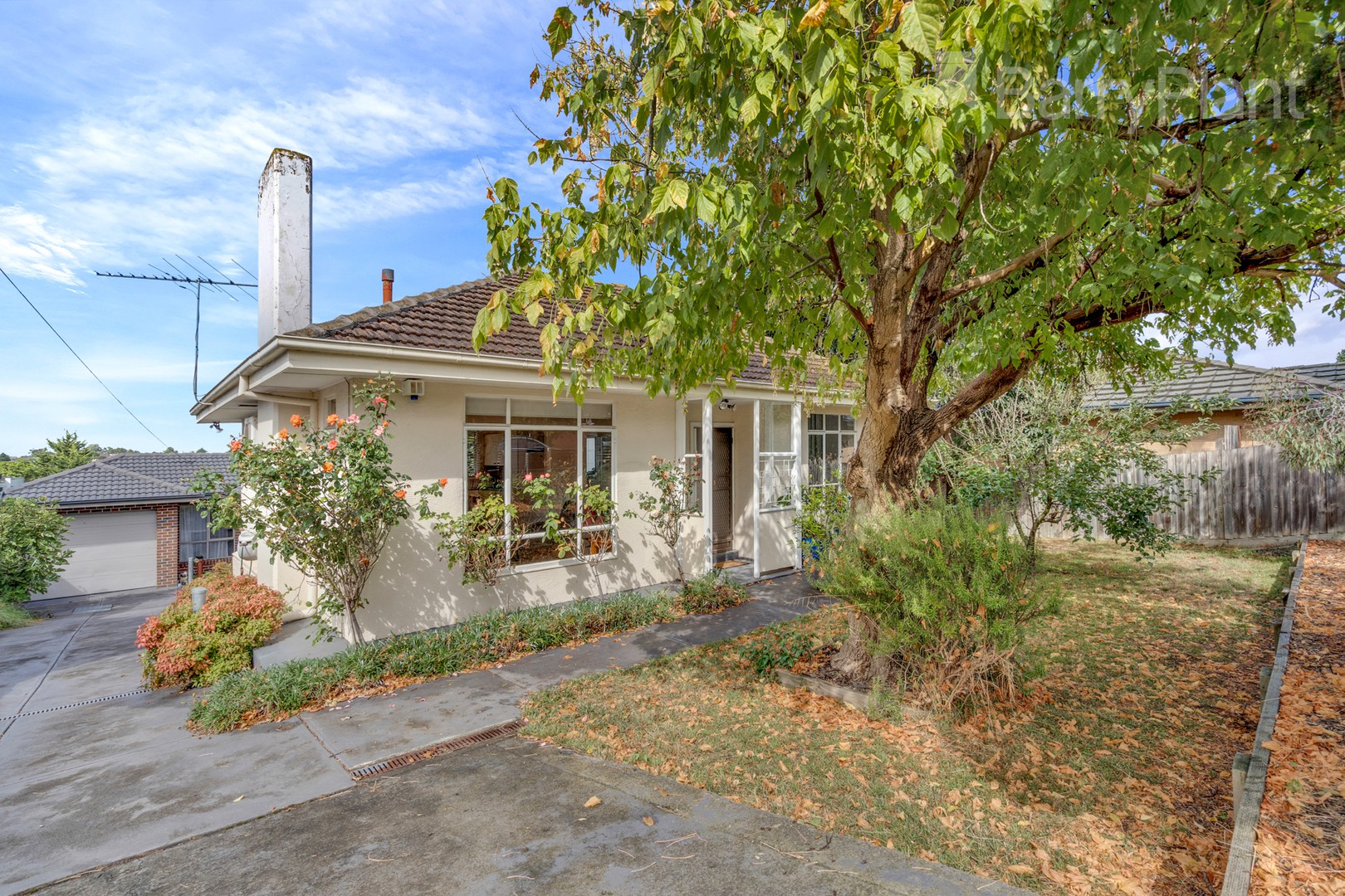5 Dorrington Avenue, Reservoir, VIC 3073, Reservoir - Thumbnail 2