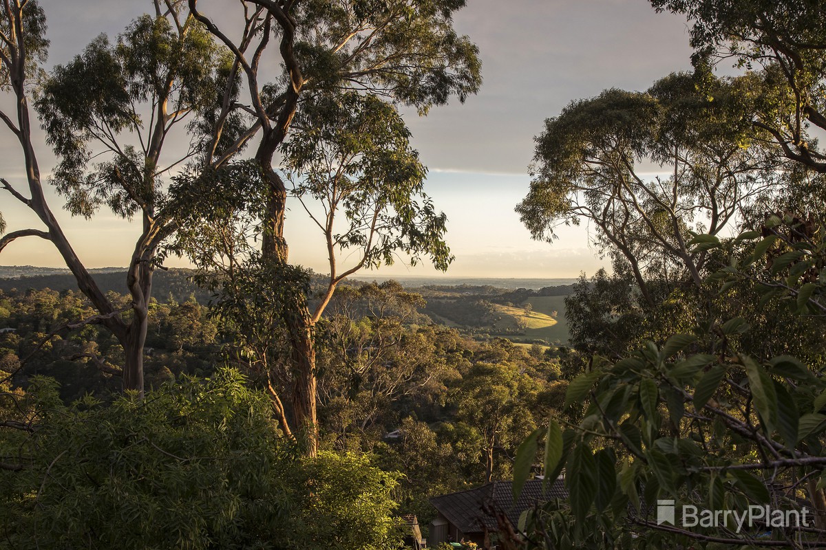 5 Ferguson Street, Upwey, VIC 3158, Upwey - Thumbnail 7