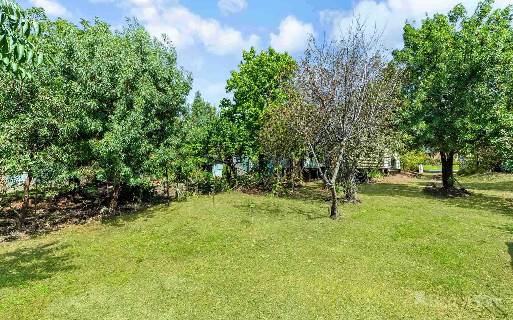 5 Junction Street, Eaglehawk, VIC 3556, Eaglehawk - Thumbnail 8