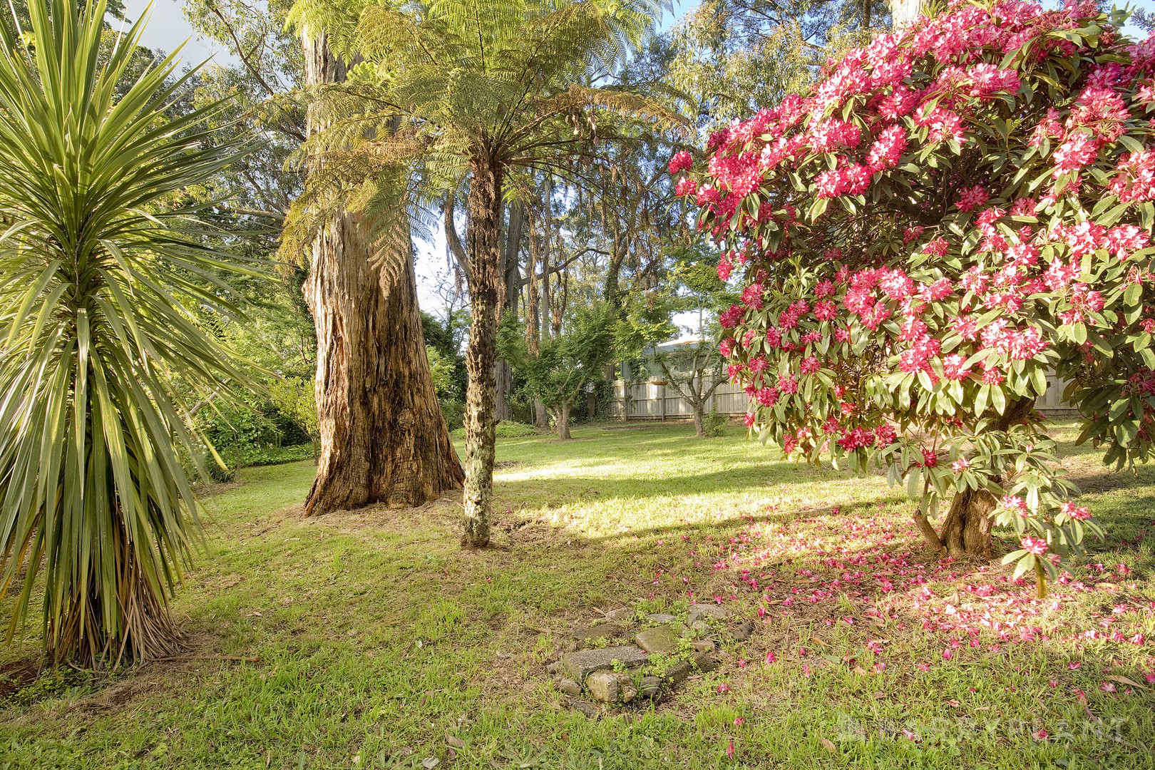 5 Kings Road, Emerald, VIC 3782, Emerald - Thumbnail 3