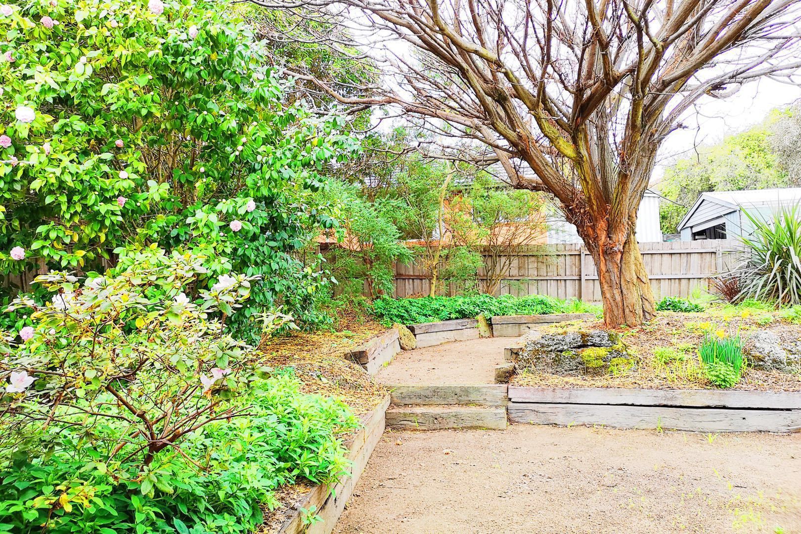 5 Linda Drive, Ringwood, VIC 3134, Ringwood - Thumbnail 8