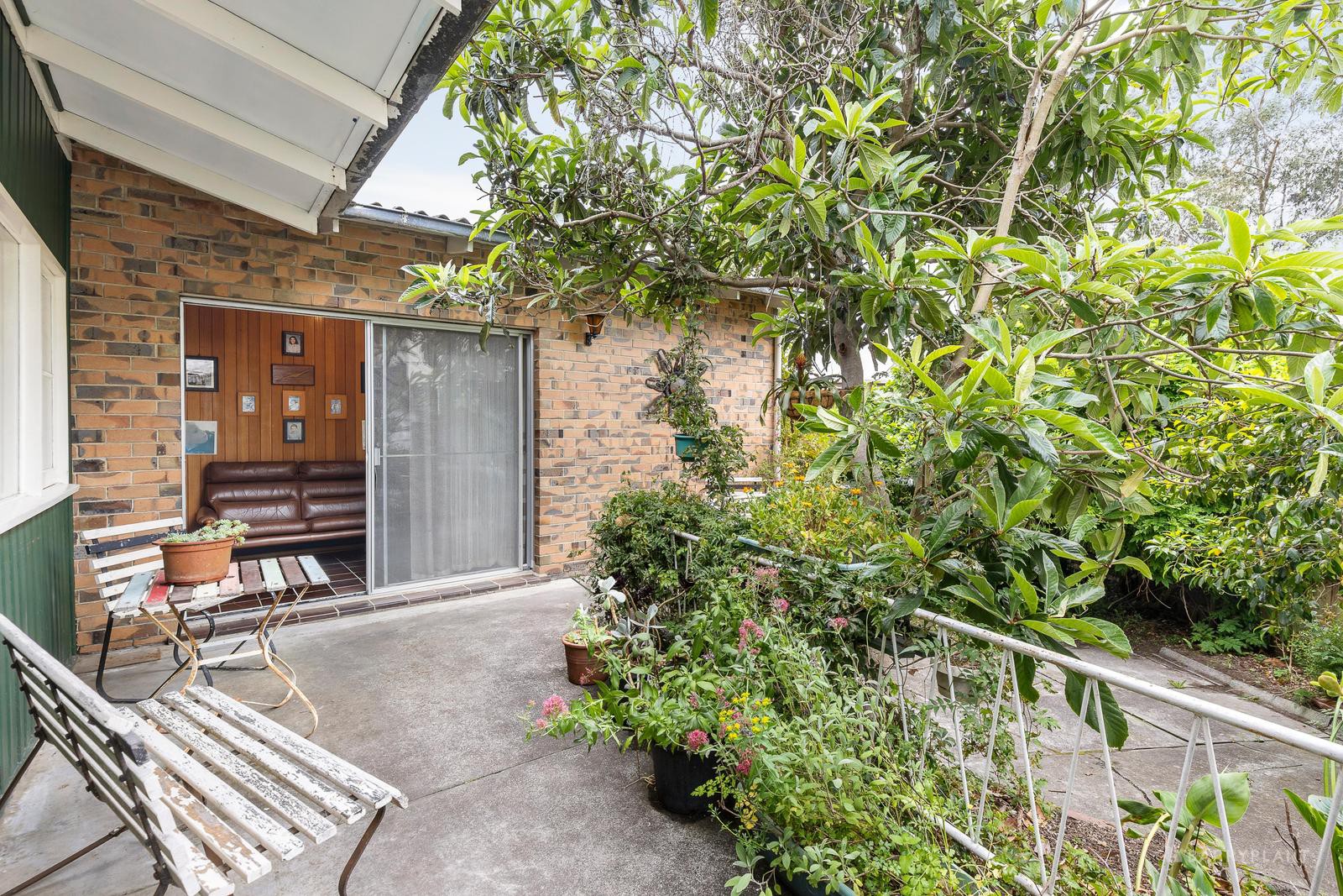 5 Norman Street, Doncaster East, VIC 3109, Doncaster East - Thumbnail 3