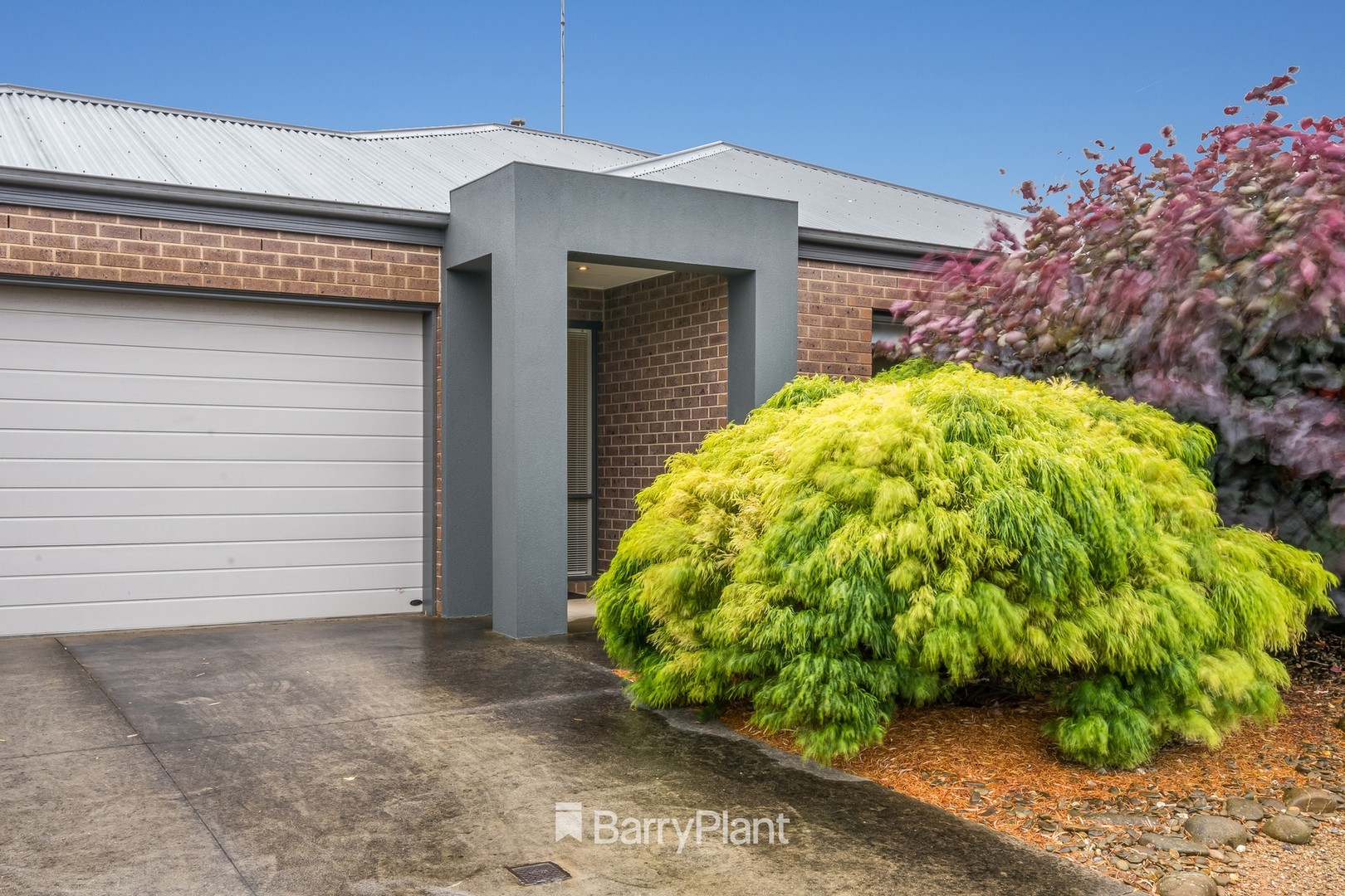 5 Silkwood CloseHighton, VIC 3216, Highton - Thumbnail 2