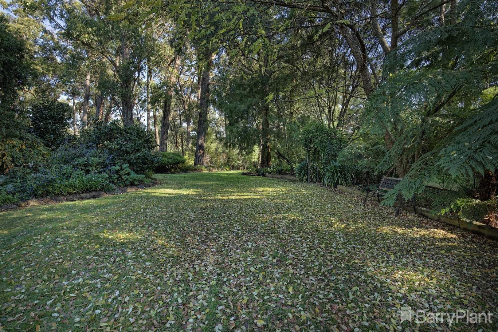 5 Wattle Court, Emerald, VIC 3782, Emerald - Thumbnail 4