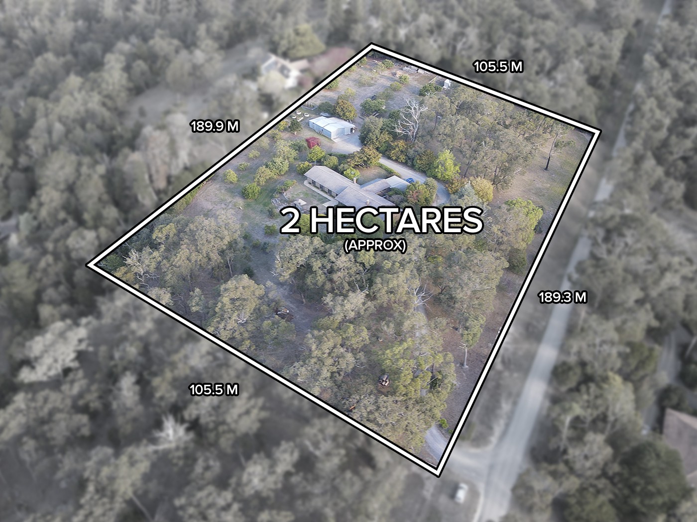 50 Anne Street, Lilydale, VIC 3140, Lilydale - Thumbnail 3