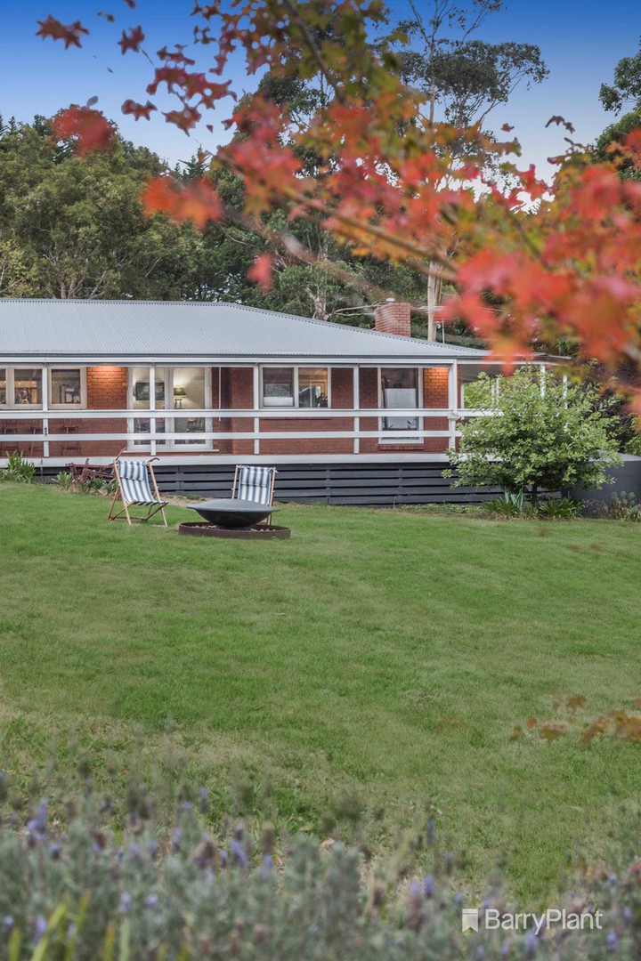 50 Falls Road, Hoddles Creek, VIC 3139, Hoddles Creek - Thumbnail 4