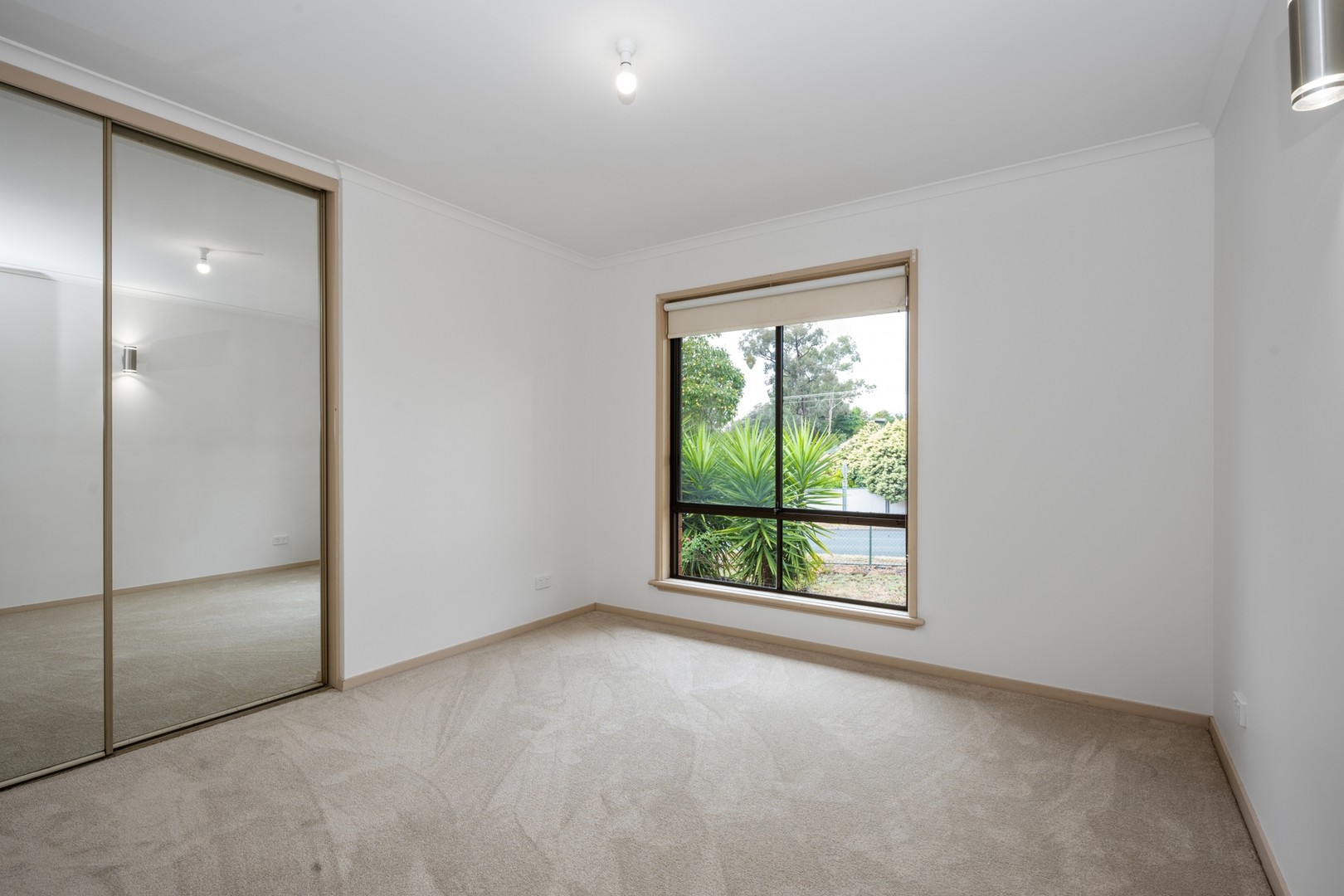 50 Lawson Street, Spring Gully, VIC 3550, Spring Gully - Thumbnail 7