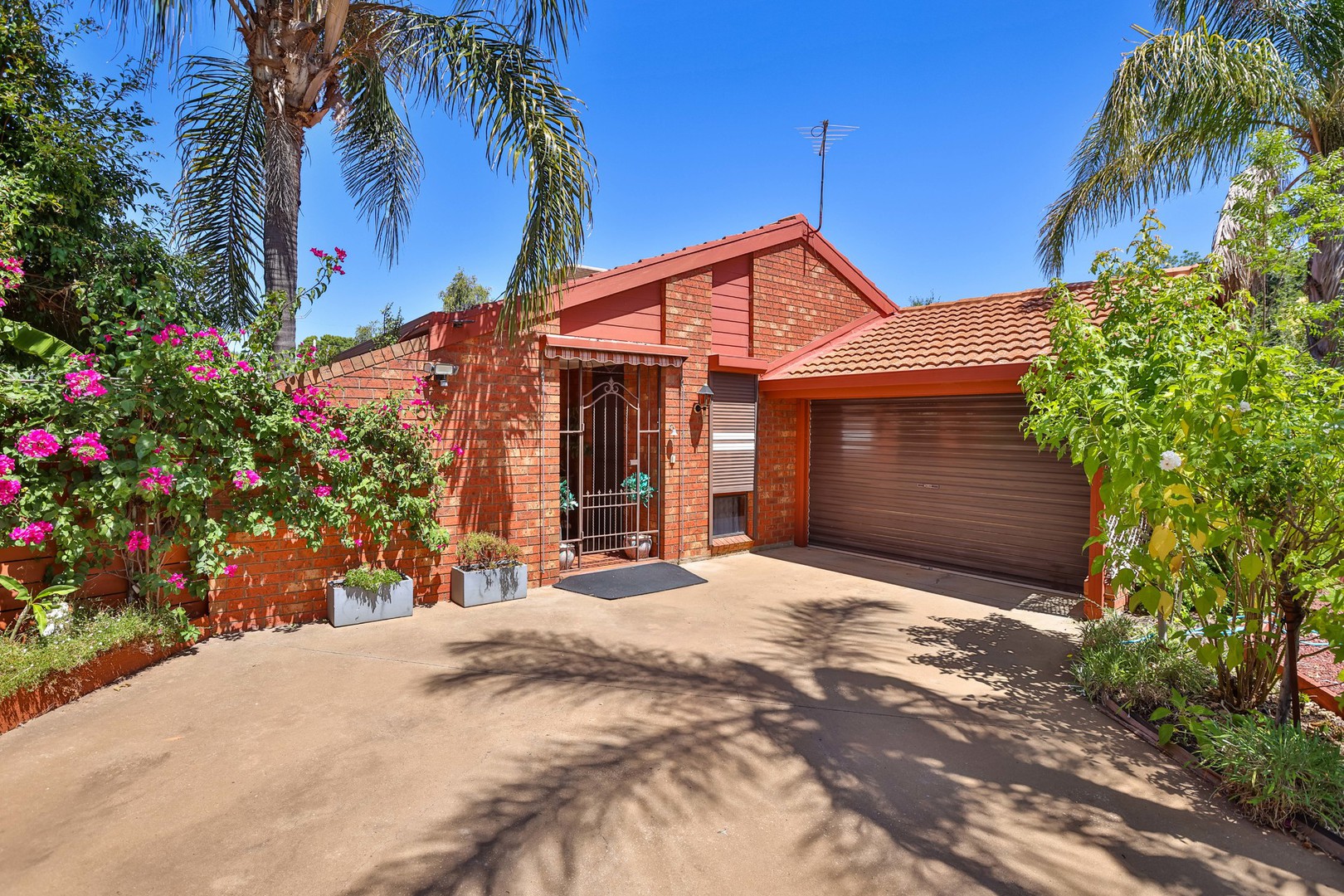 50 Teal Drive, Mildura, VIC 3500