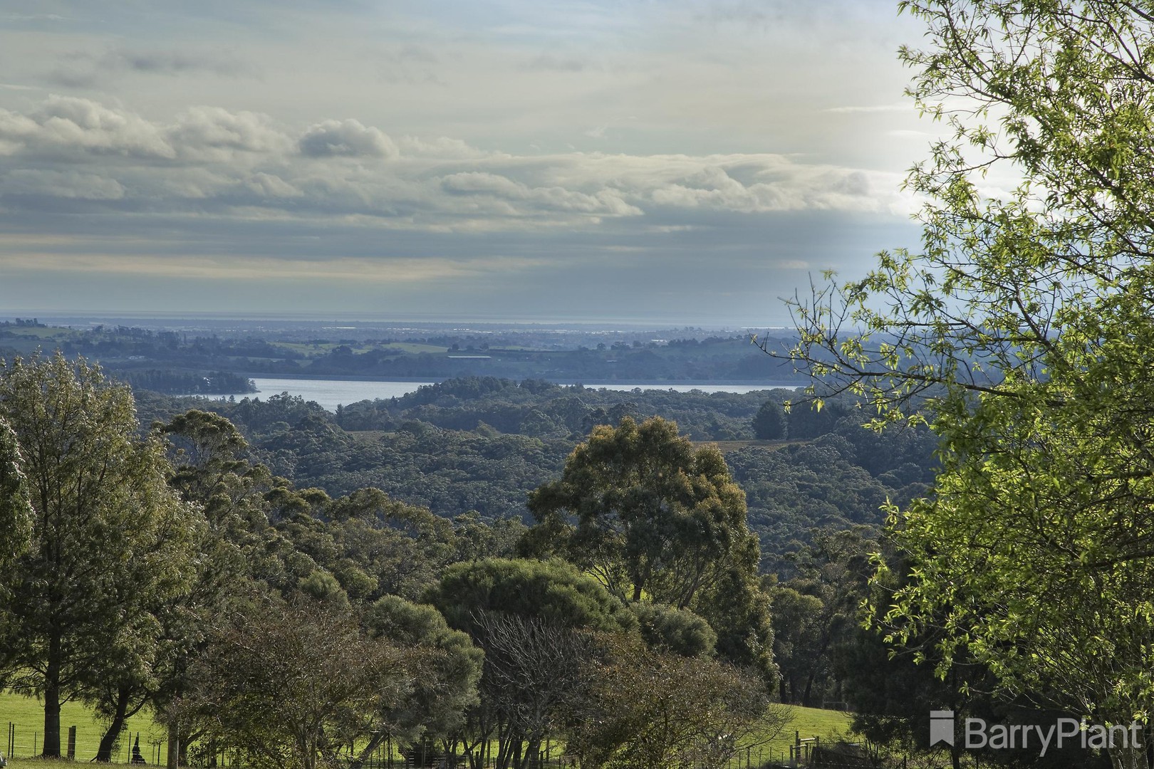 50 Westlands Road, Emerald, VIC 3782, Emerald - Thumbnail 2